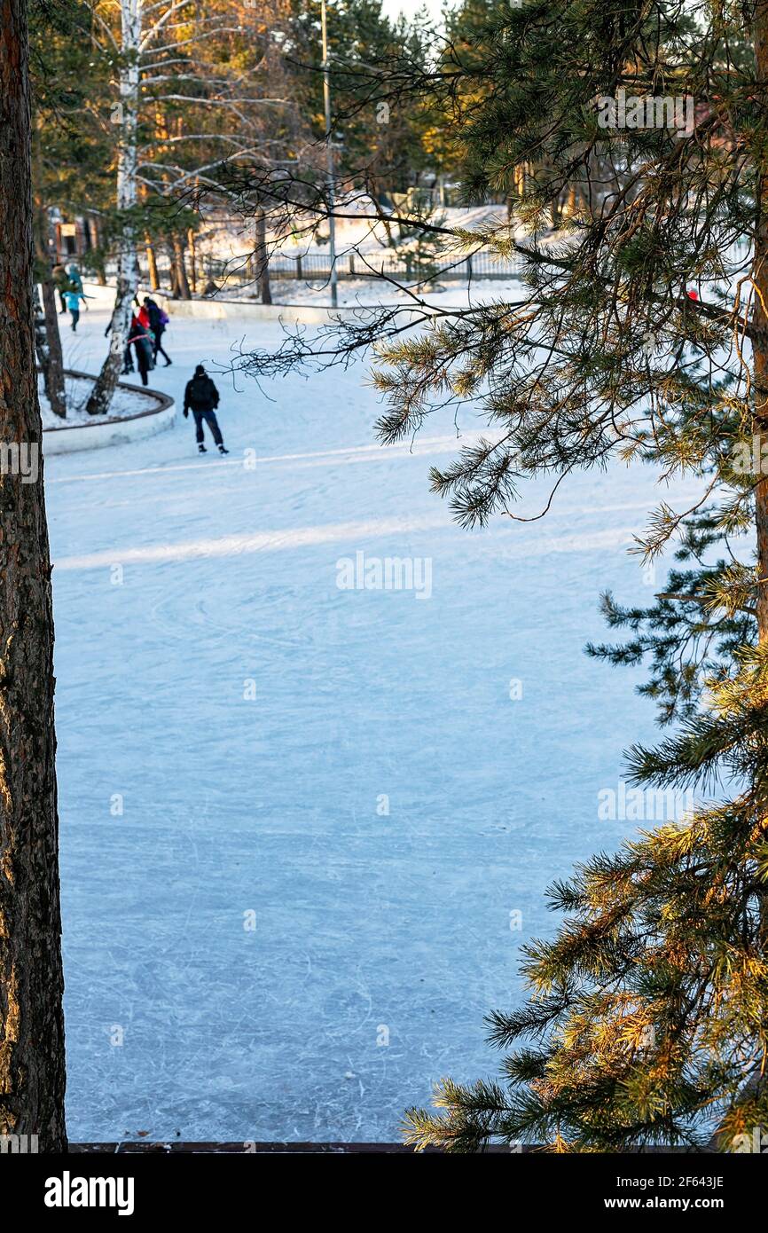 Vertical shot people in bright winter clothes are ice skating on a lake. Sunny day, pine forest, active lifestyle, cold weather. Stock Photo
