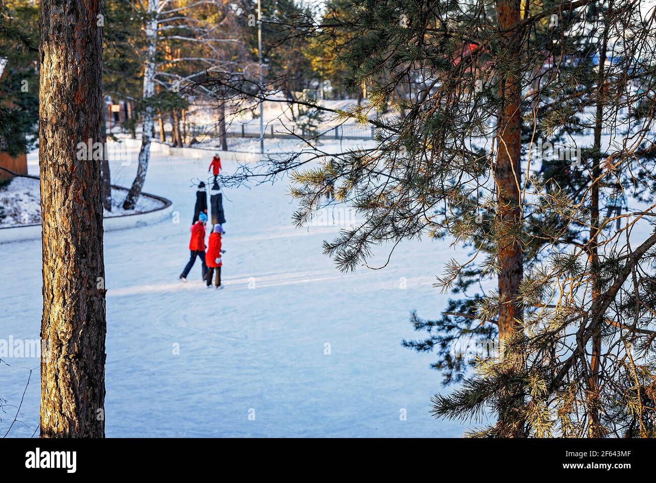 People in bright winter clothes are ice skating on a lake. Sunny day, pine forest, active lifestyle, cold weather. Stock Photo