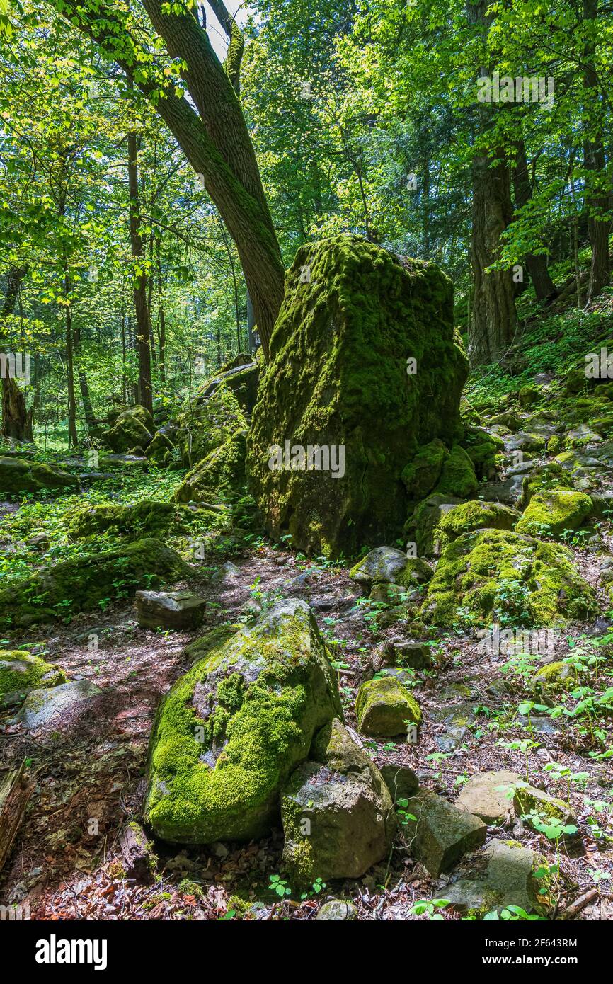 Ball's Falls Conservation Area Niagara Escarpment Lincoln Ontario