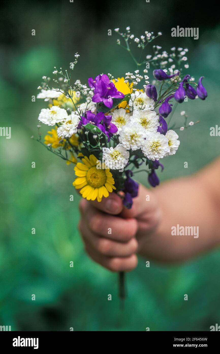 Offering bouquet hires stock photography and images Alamy