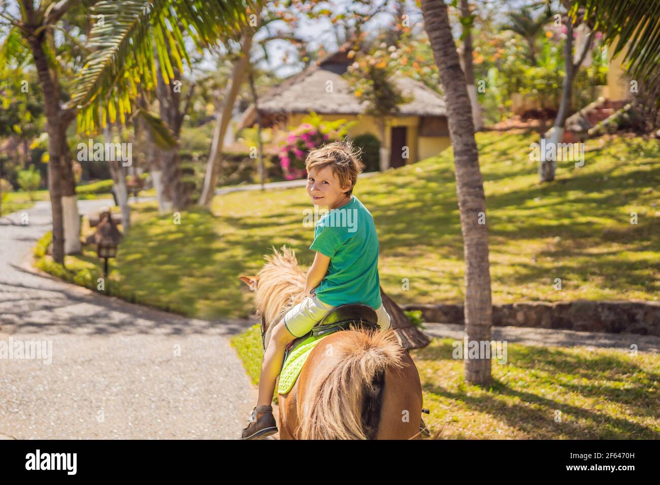 Download Shetland Pony Child In Riding High Resolution Stock Photography And Images Alamy