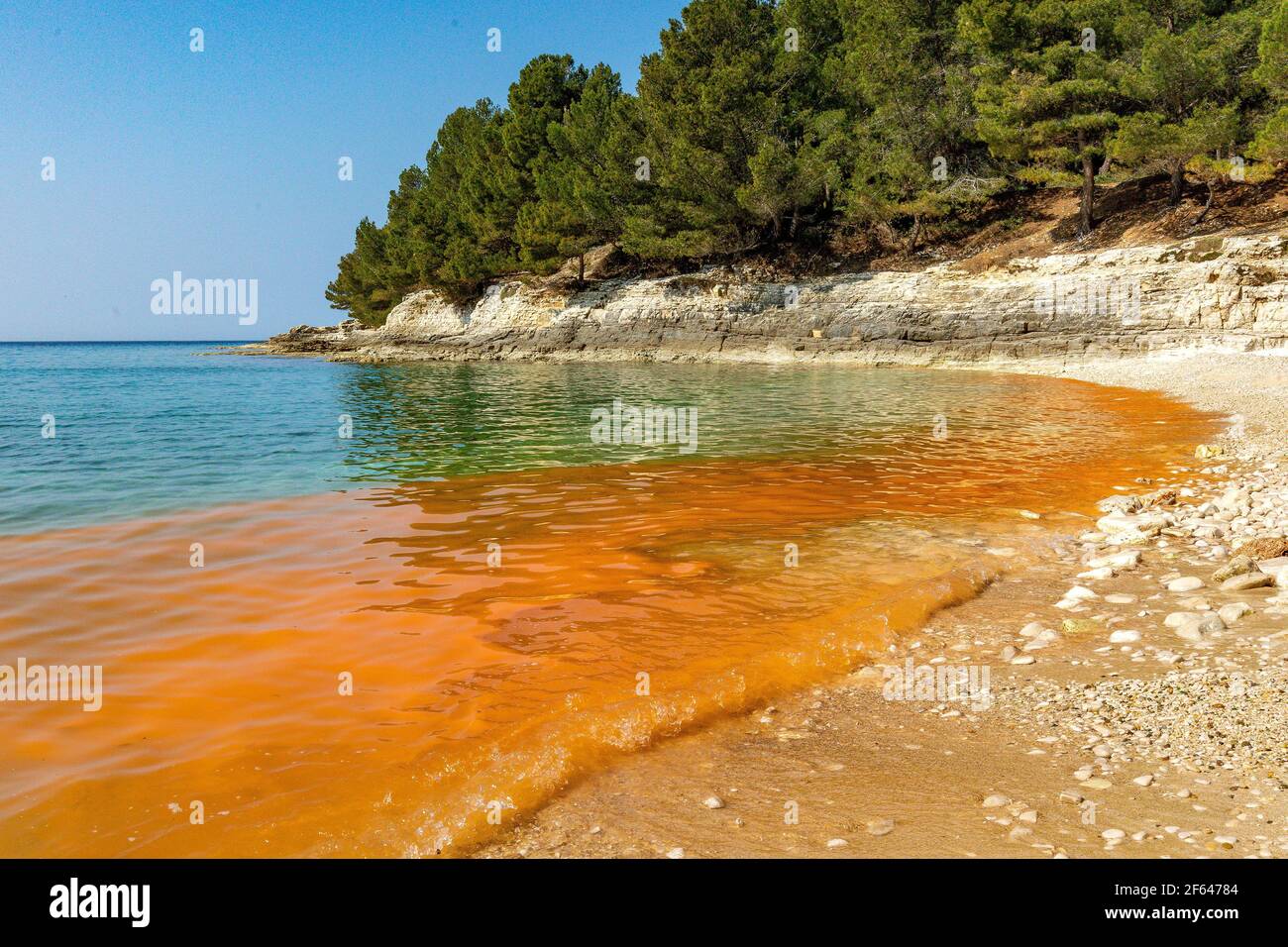 (210330) -- PULA, March 30, 2021 (Xinhua) -- Photo taken on March 29, 2021 shows red tide at a beach in Pula, Croatia. Red tide is a burst of harmful algae growth which can turn ocean water red, brown or green. (Srecko Niketic/Pixsell via Xinhua) Stock Photo