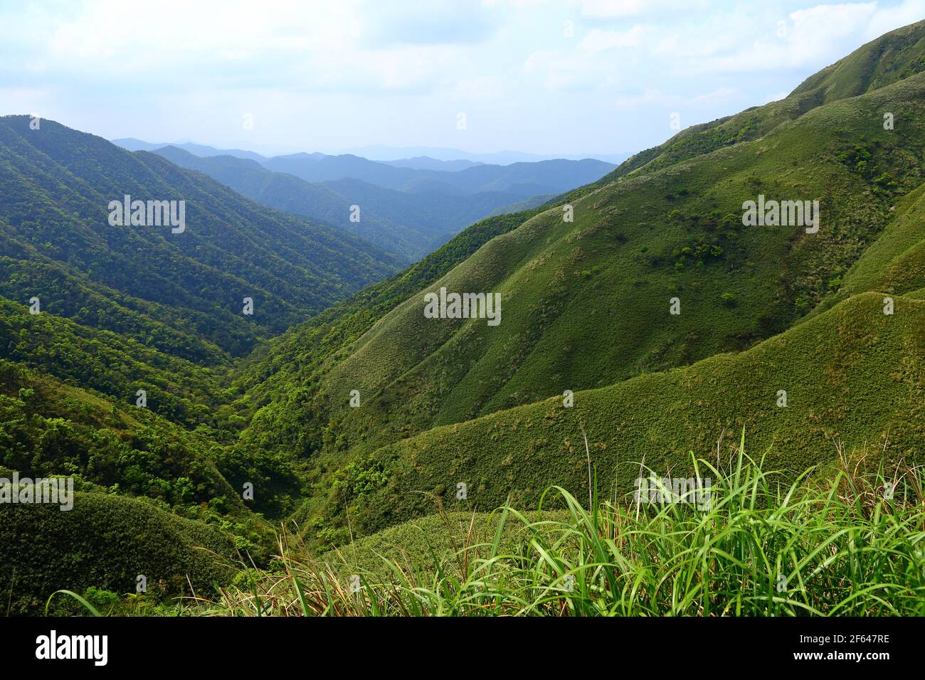 Famous Matcha (Green Tea) Mountain, Shengmu Hiking Trail (Marian Hiking Trail), Jiaoxi, Yilan, Taiwan Stock Photo