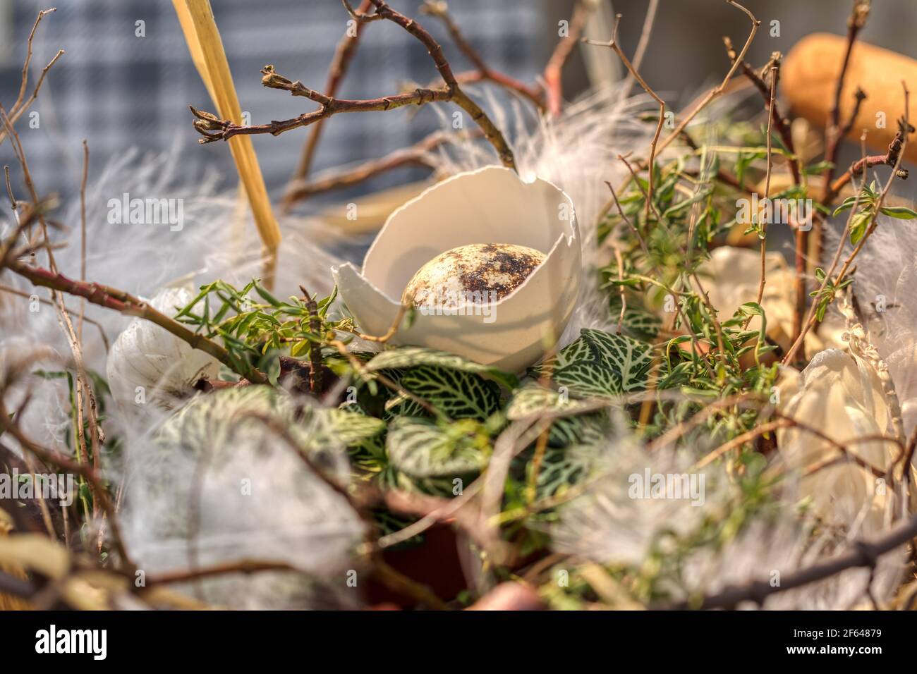happy easter decoration with eggs, holiday Stock Photo