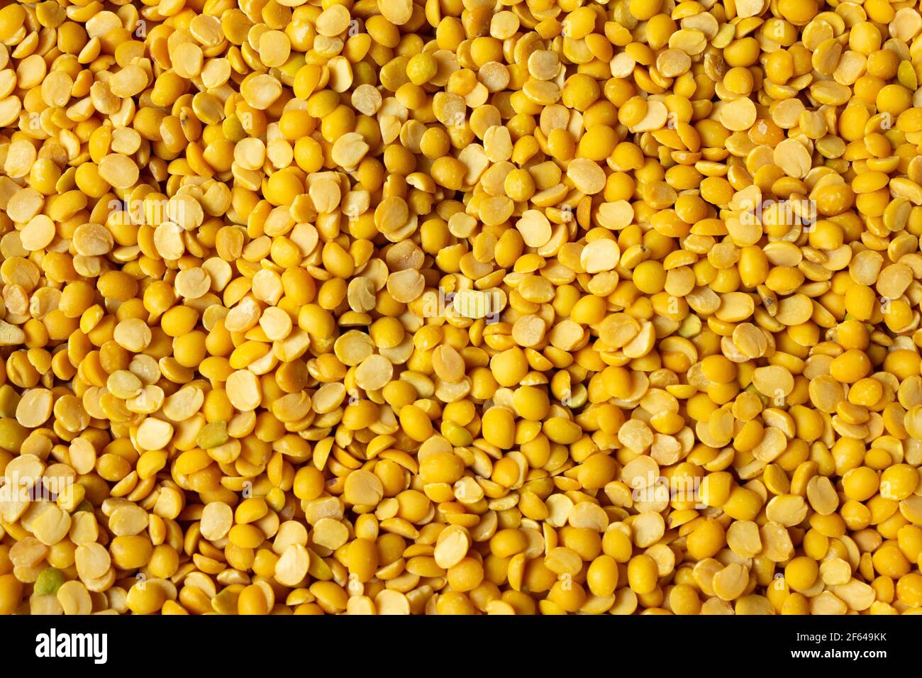 Pigeon pea (also known as tur dal) is a common staple food in south asia. Stock Photo