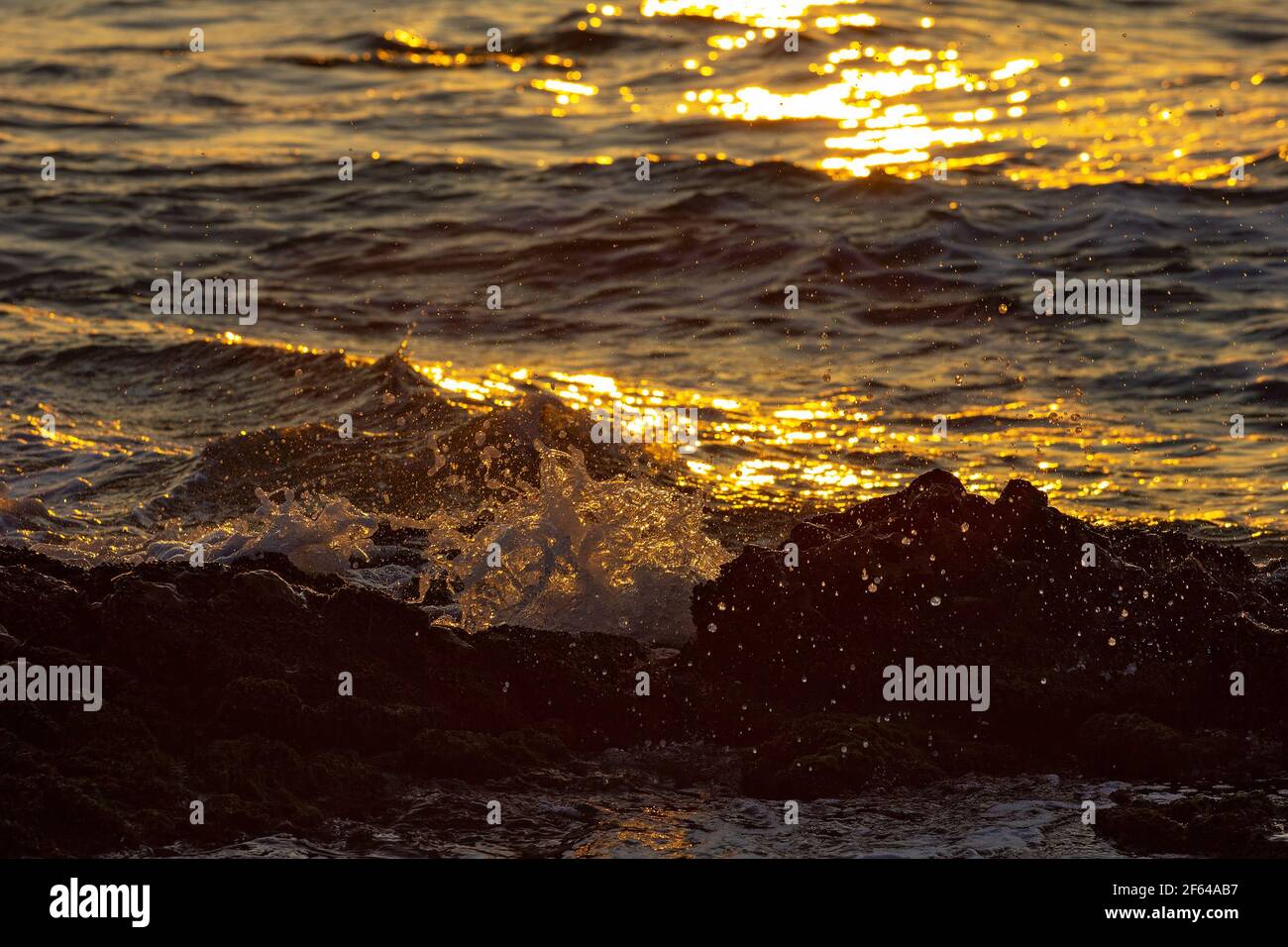 Beautiful waves at sea sunrise Stock Photo - Alamy