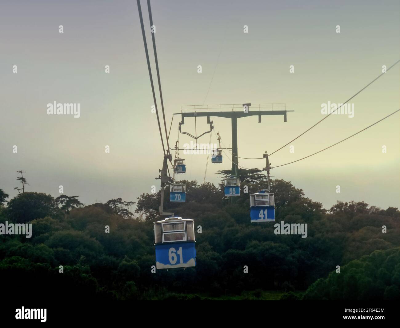 Cable car scene. Alpine landscape with some trees on a foggy day. Stock Photo