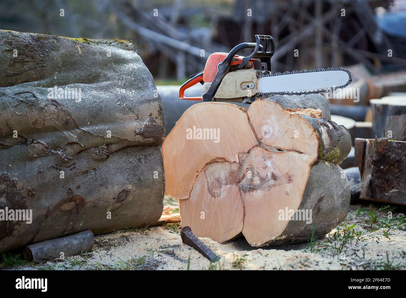 Chainsaw resting on forest hi-res stock photography and images - Alamy