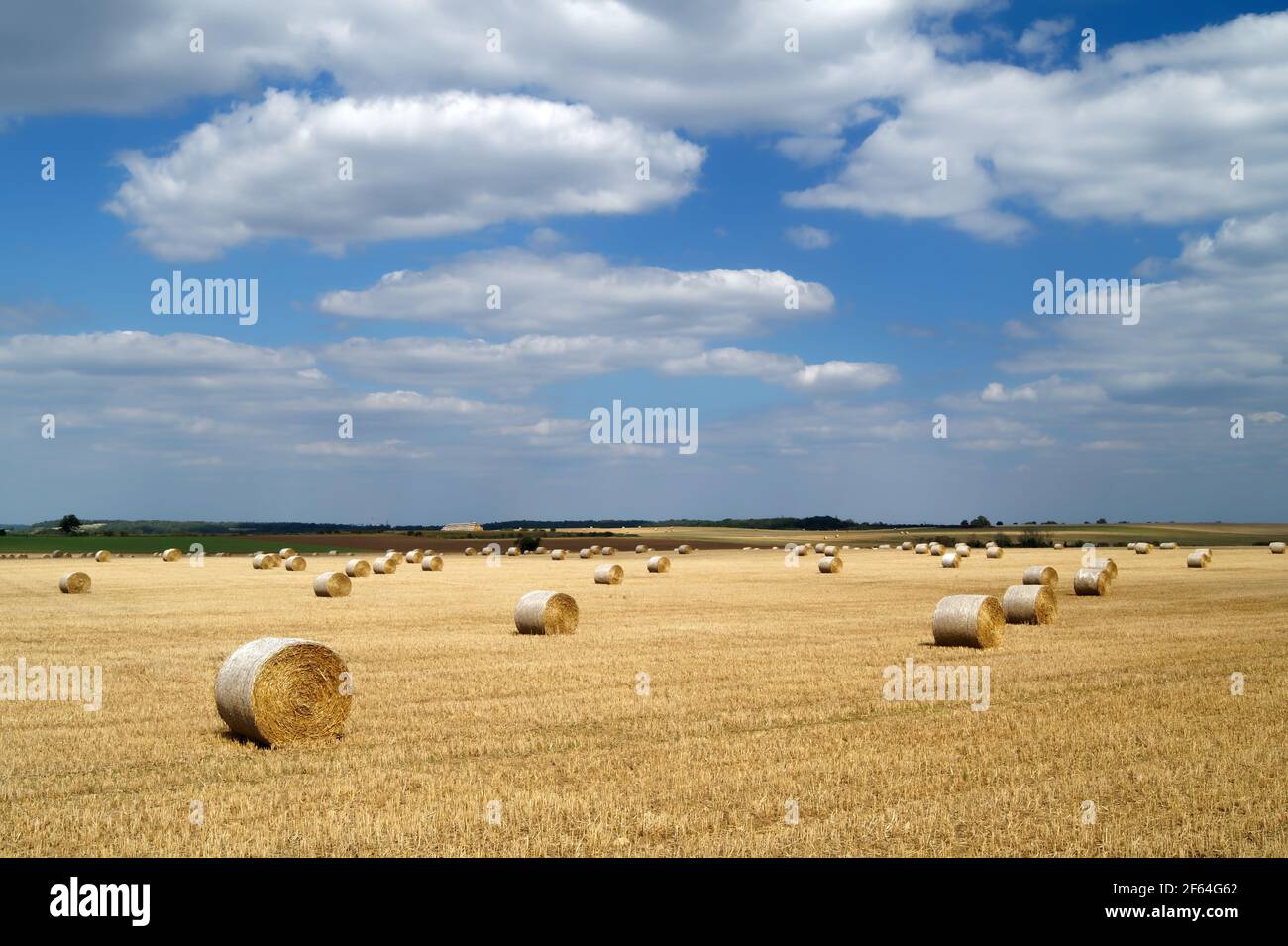 UK,South Yorkshire,Doncaster,Drum Hay Bales in Field near High Melton Stock Photo