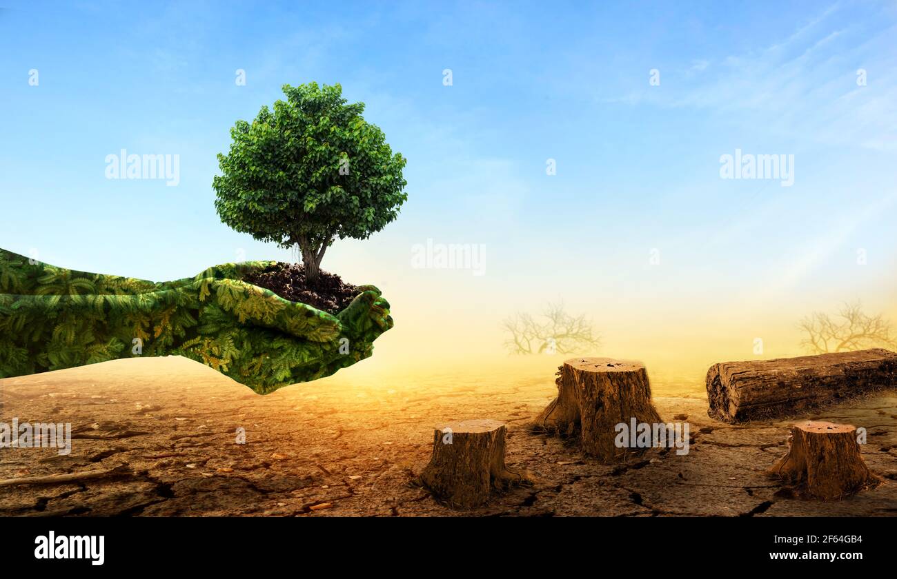 Green hands holding tree growing on dead stump tree on cracked land. Saving environment and natural conservation concept. Stock Photo