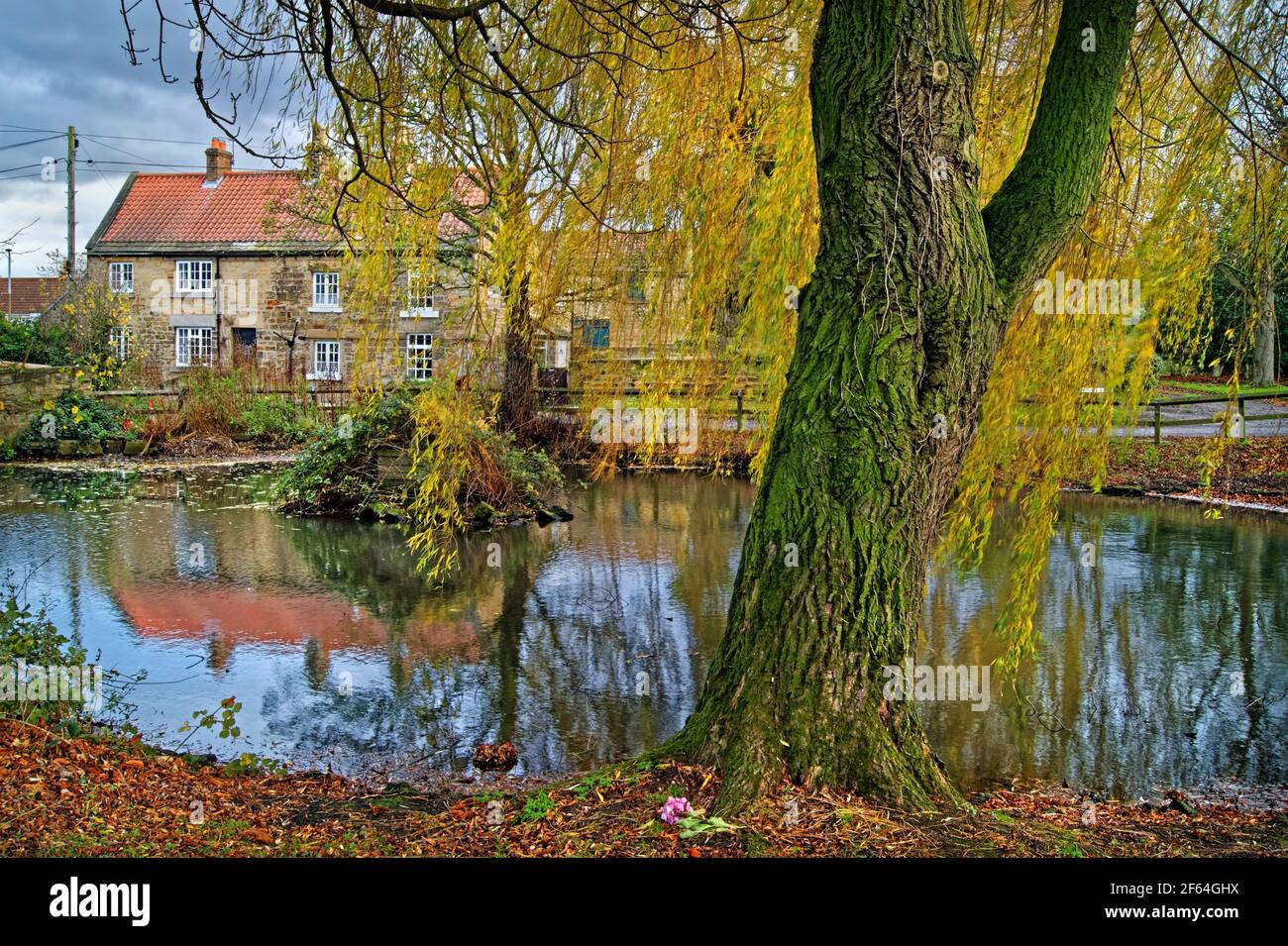 UK,South Yorkshire,Doncaster,Village of Clayton with Pond during Autumn Stock Photo