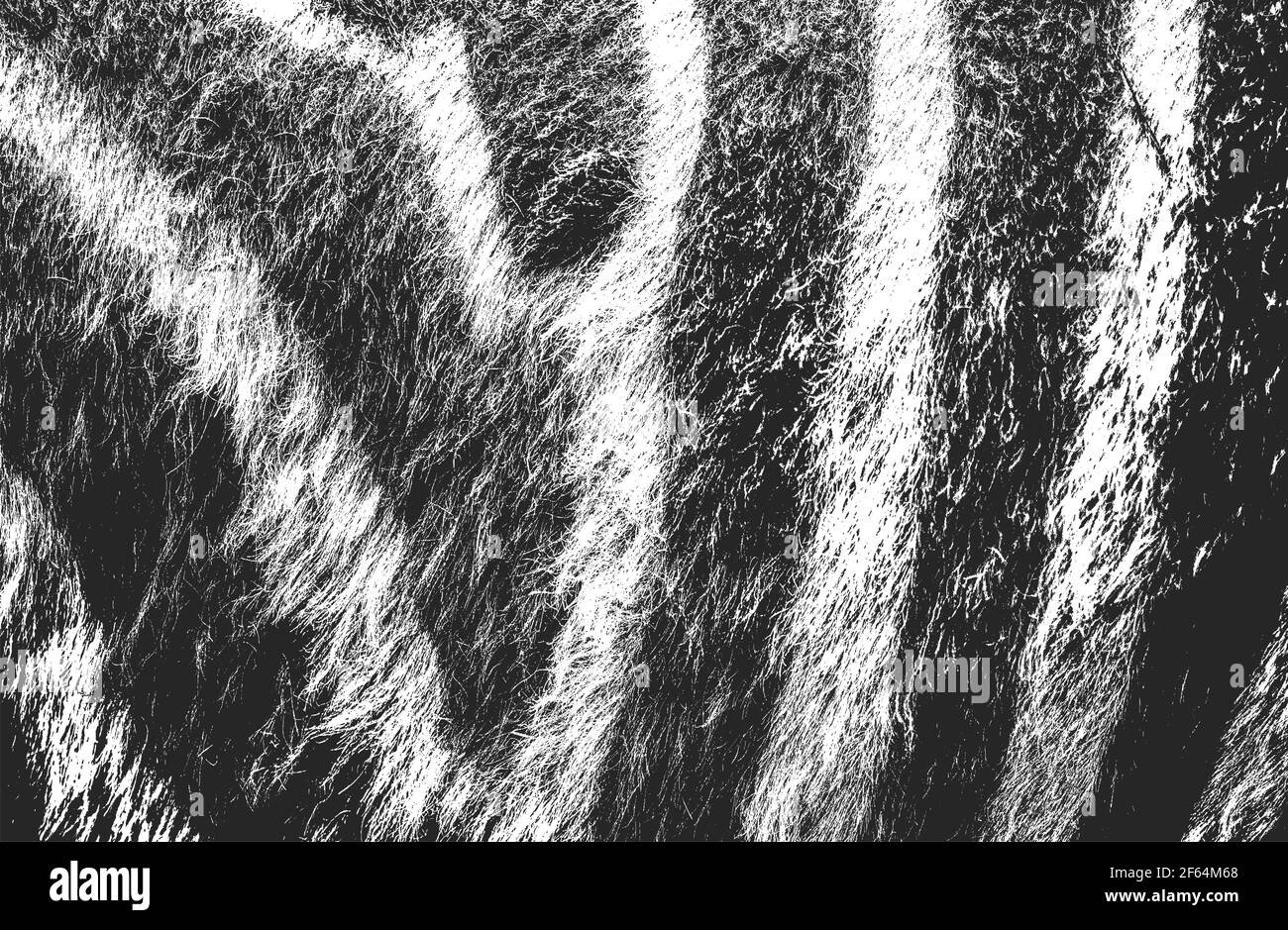 Distressed overlay texture of natural fur, grunge vector background ...