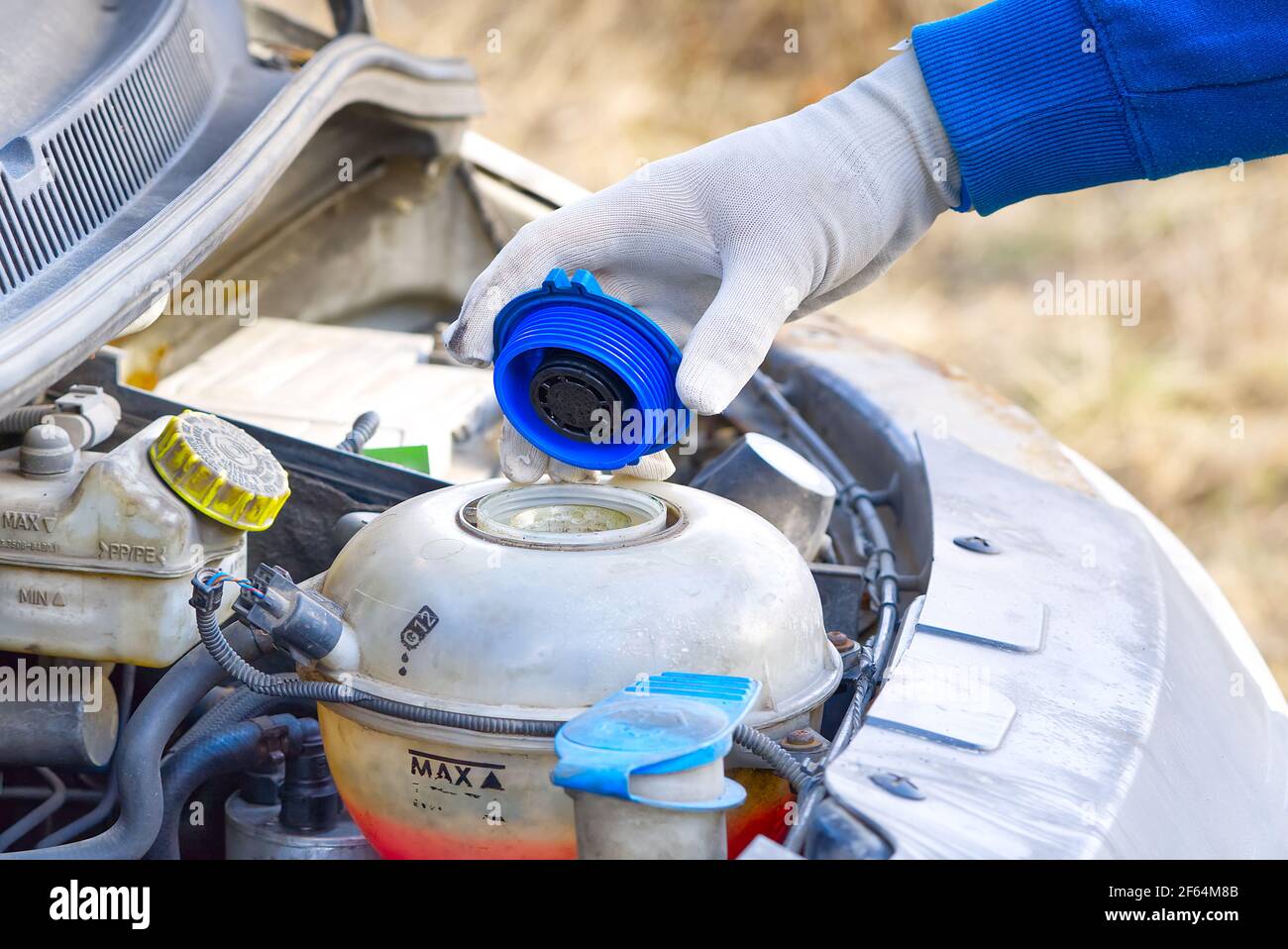 Pouring coolant Service of cars. Pouring antifreeze. Mechanic fills the