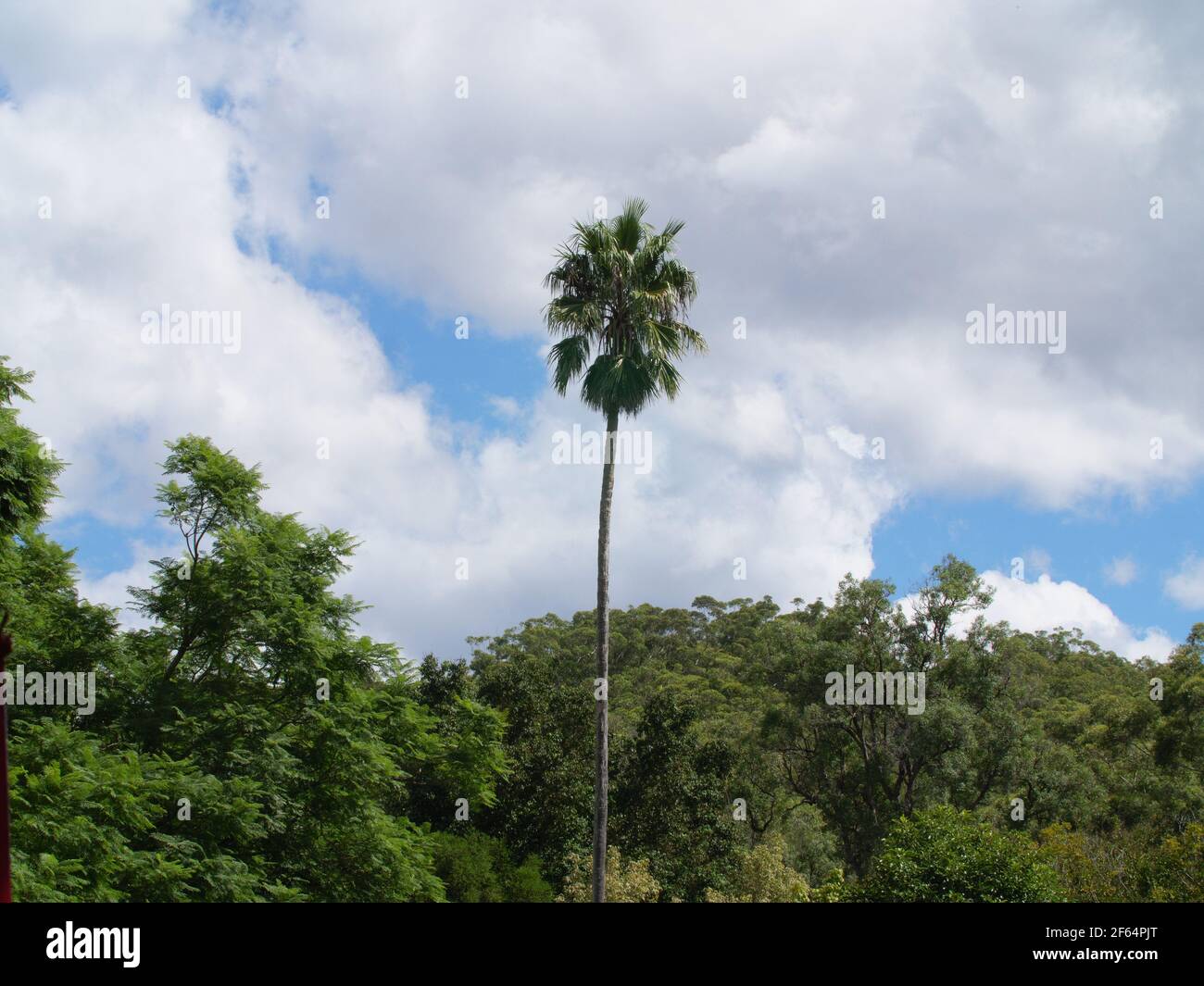 Dangar on Dangar Island in New South Wales Australia Stock Photo - Alamy