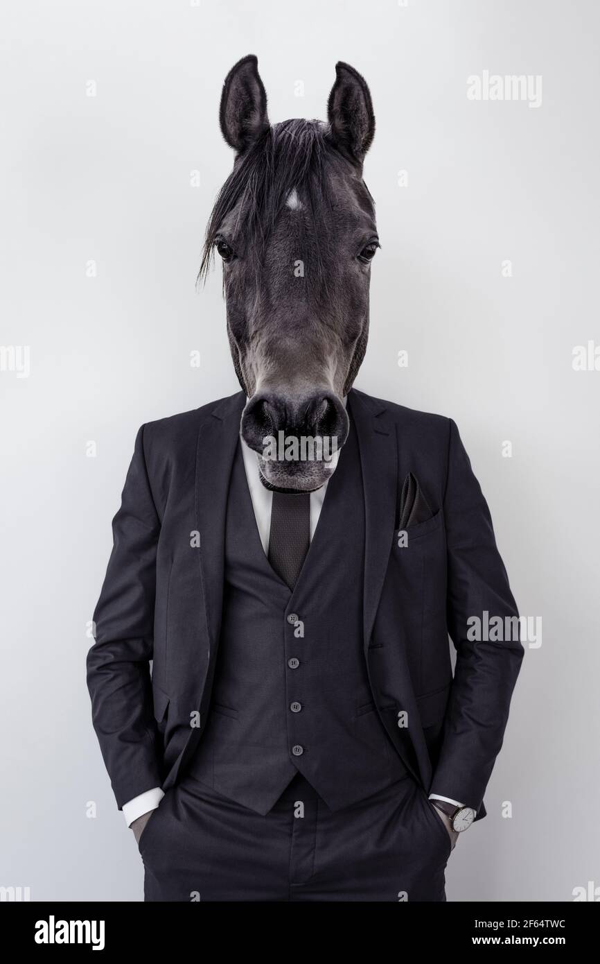 Businessman dressed in a suit with a horse head. Concept of a working horse  Stock Photo - Alamy