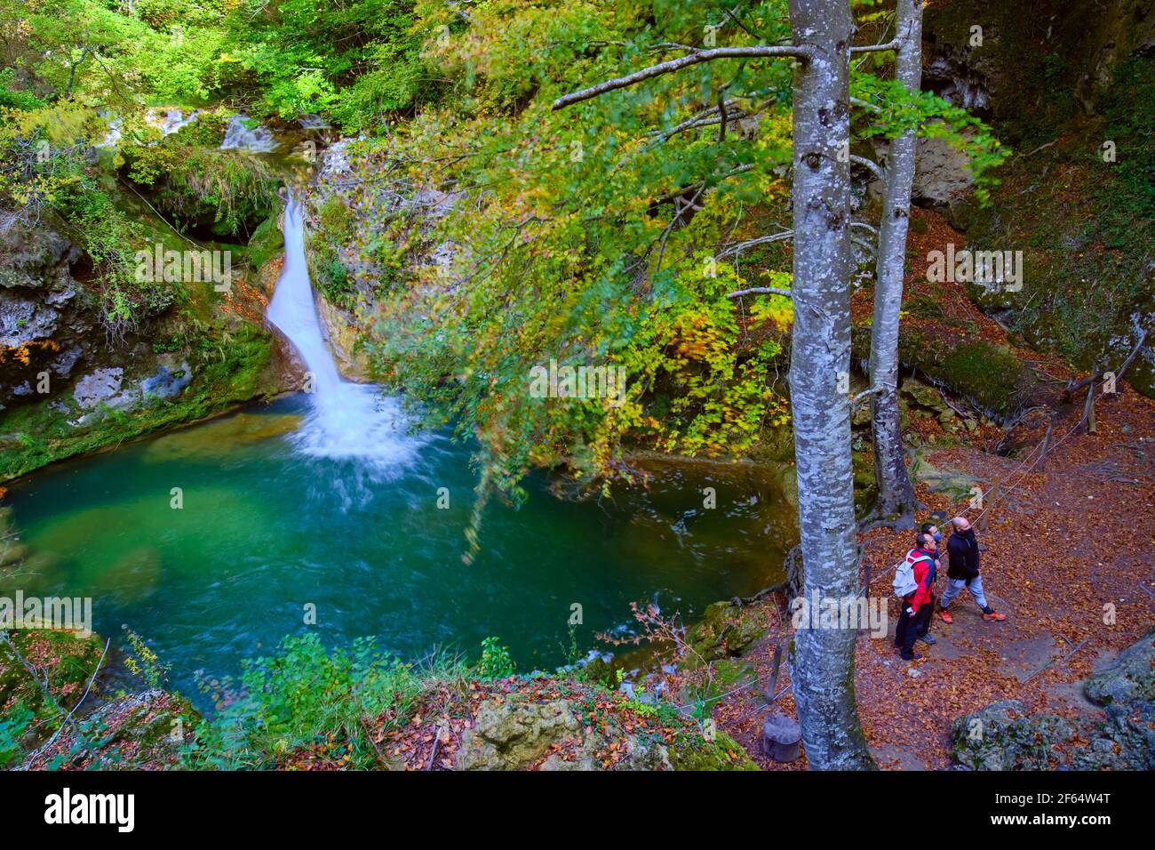 People and waterfall and beechwood forest. Stock Photo