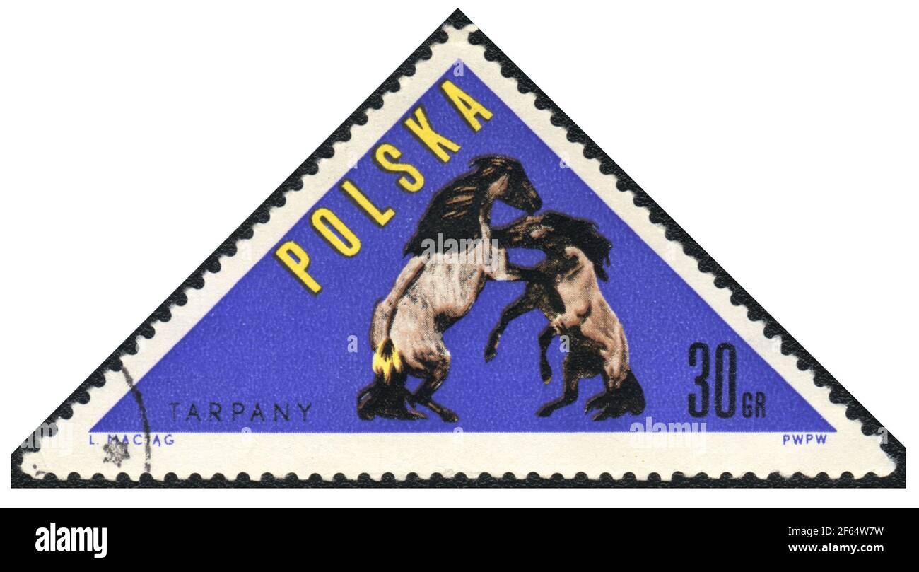 A triangle postage stamp. Tarpan (Equus ferus ferus) wild  horse from series: Horses, Poland, 1963, Stock Photo