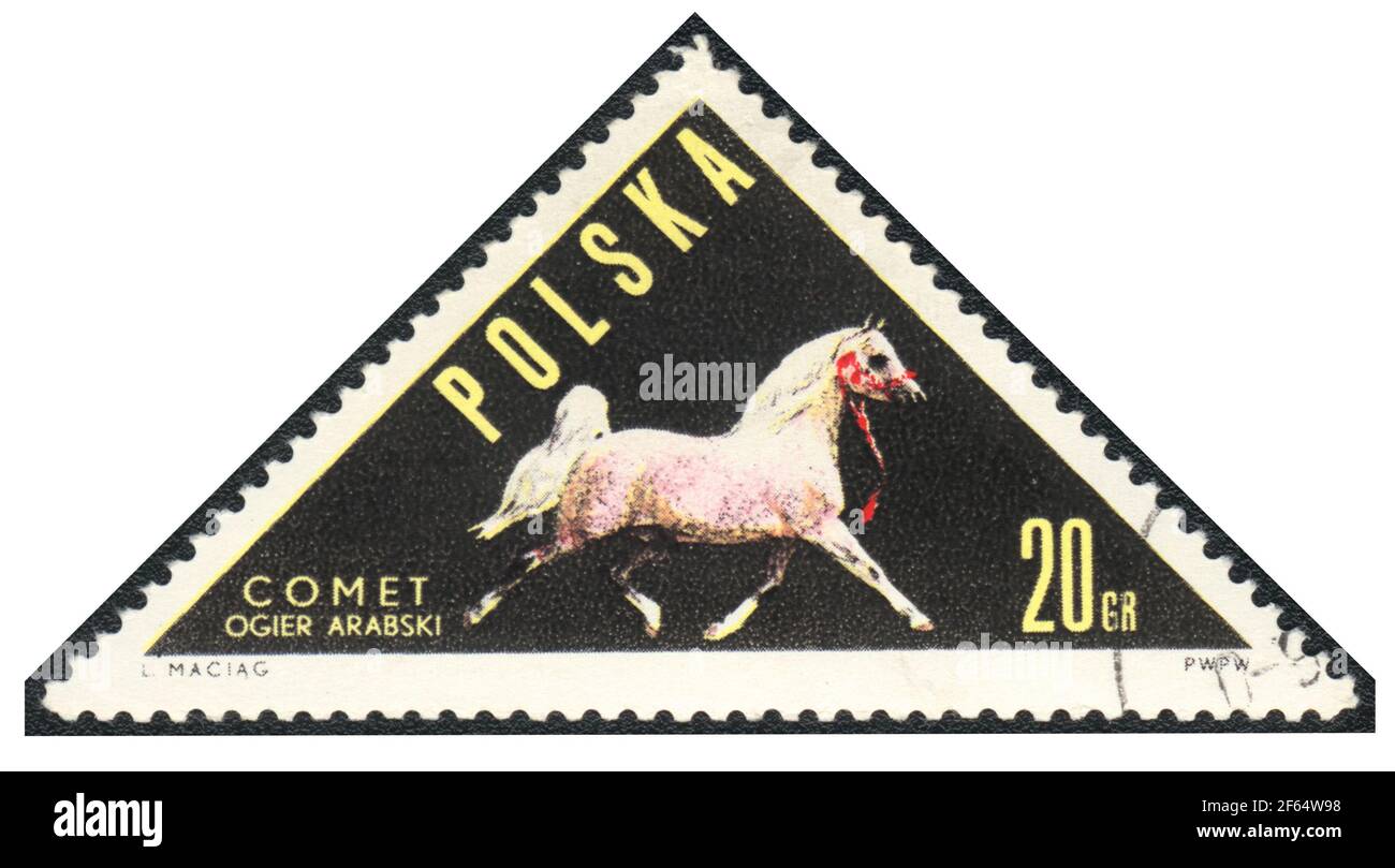 A triangle postage stamp. Arab horse from series: Horses, Poland, 1963, Stock Photo