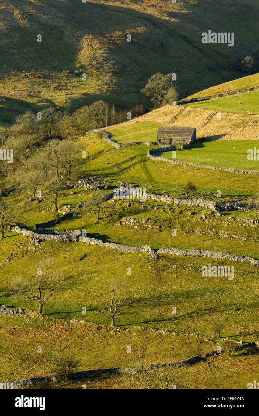 Scenic sunny Wharfedale landscape (upland fells, stone barn, steep hillside, limestone walls, sheep grazing pastures) - Yorkshire Dales, England, UK. Stock Photo