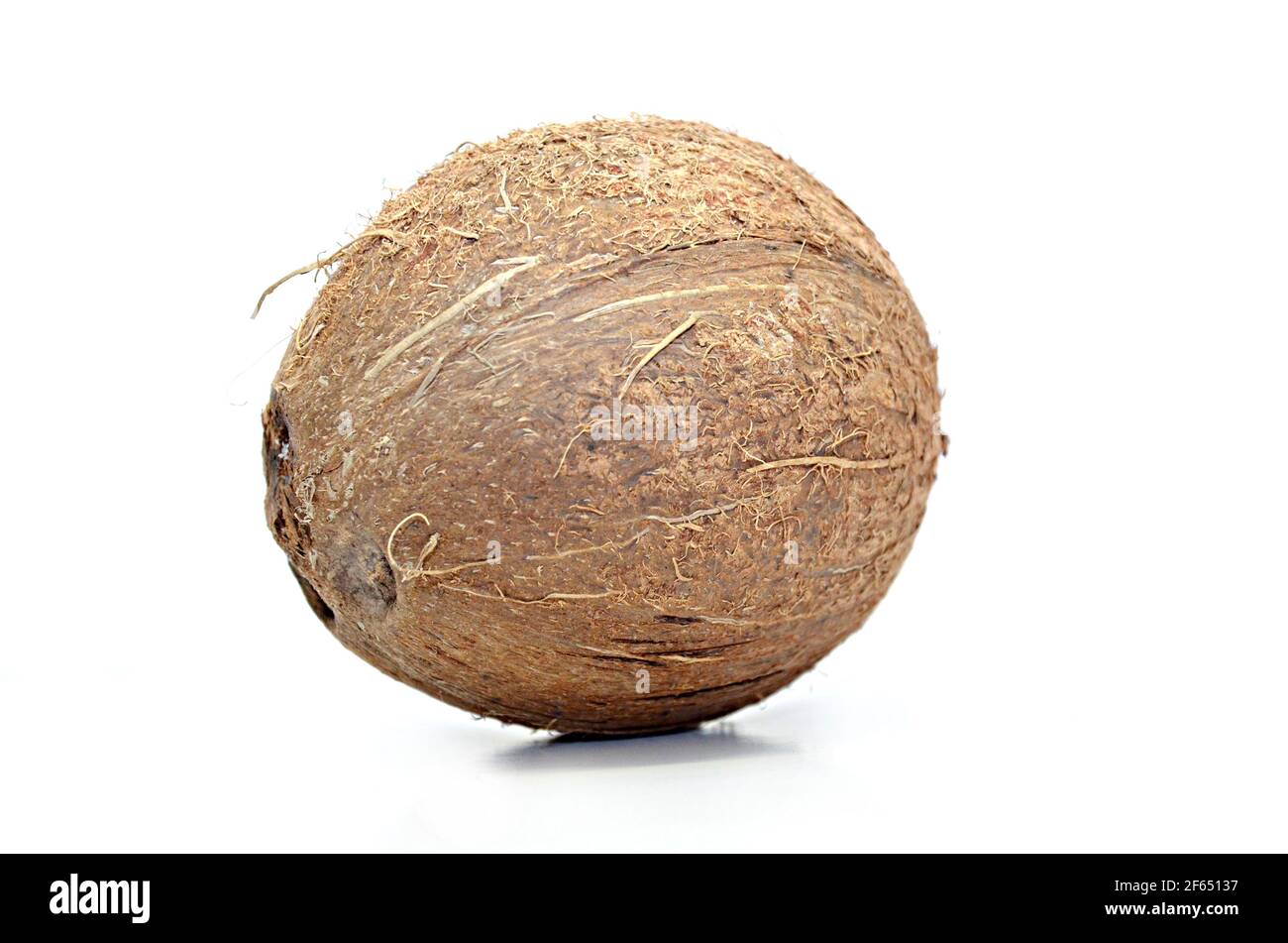 coconut isolated, nut Stock Photo Alamy