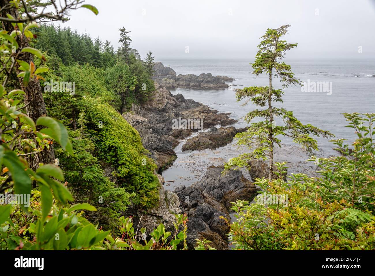 Wild Pacific Trail in Ucluelet, Vancouver Island, British Columbia, Canada Stock Photo