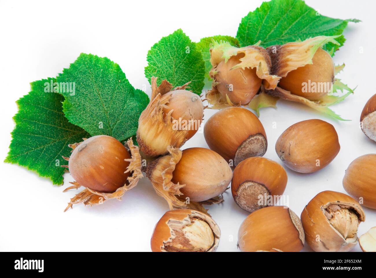 Hazelnuts with leaves isolated on white background Stock Photo Alamy