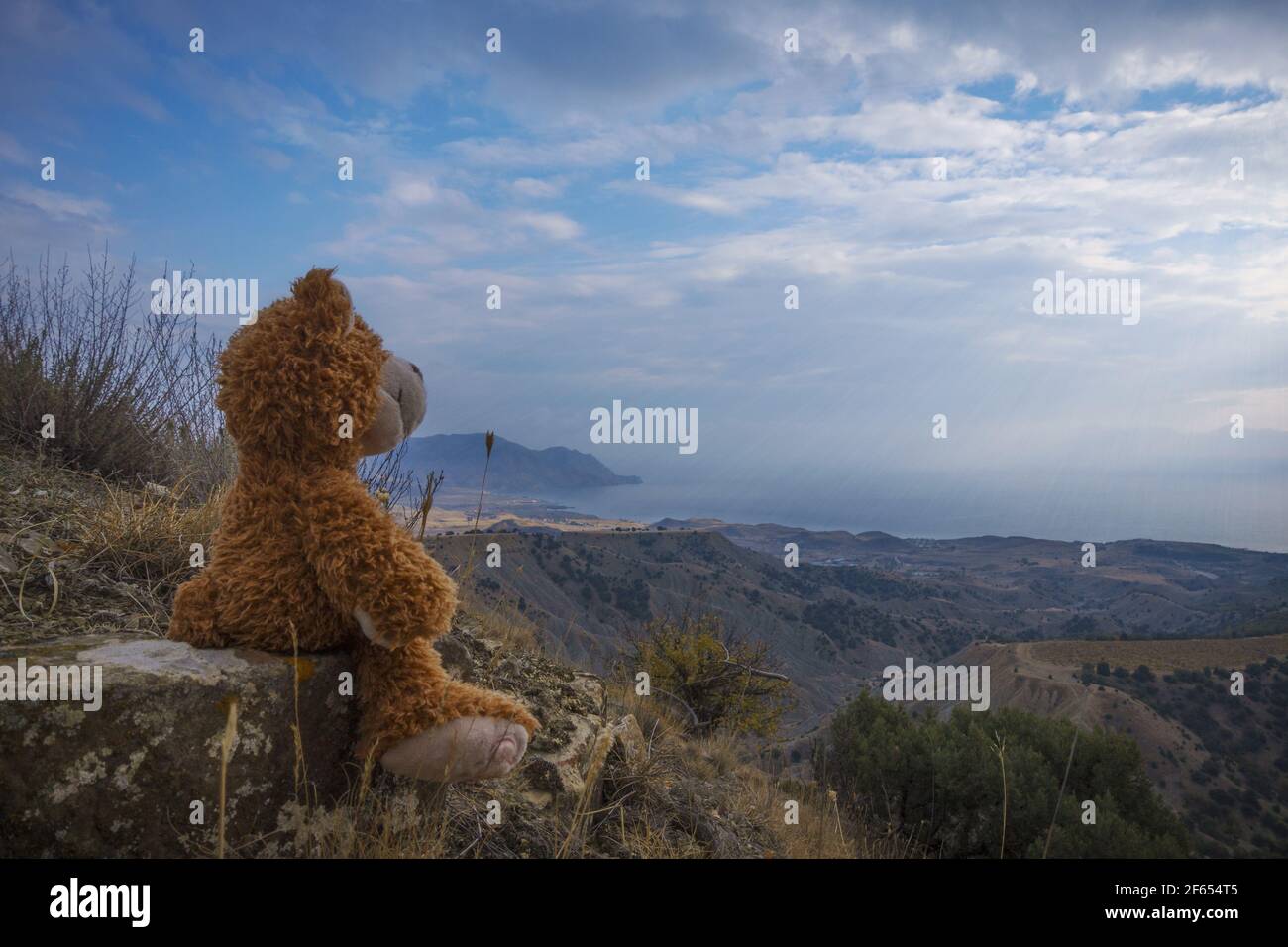 brown Teddy bear sitting on top of a mountain and look at the sea Stock ...