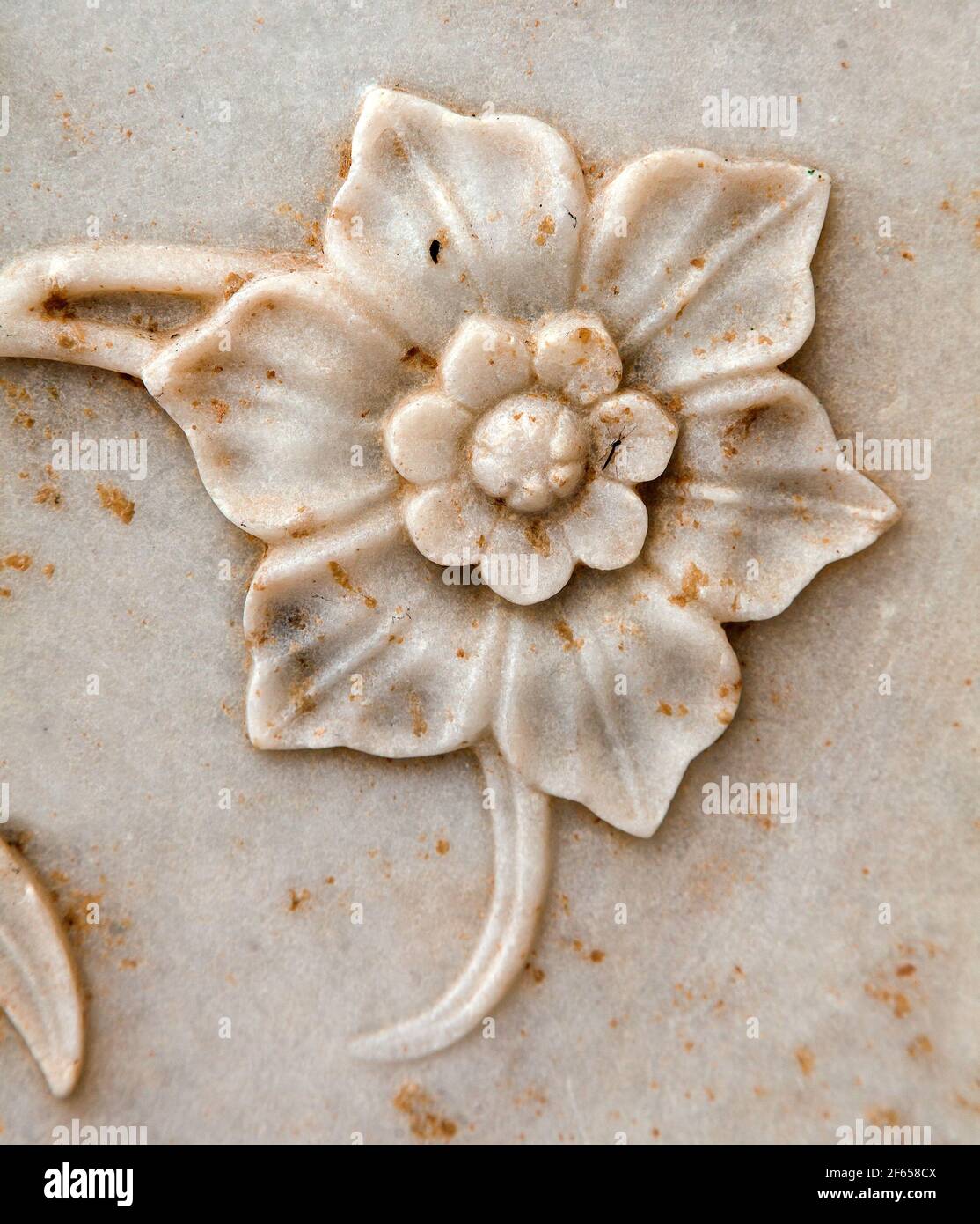 Taj Mahal, detail of marble wall, flower relief the best of Indian historical sights, UNESCO Stock Photo