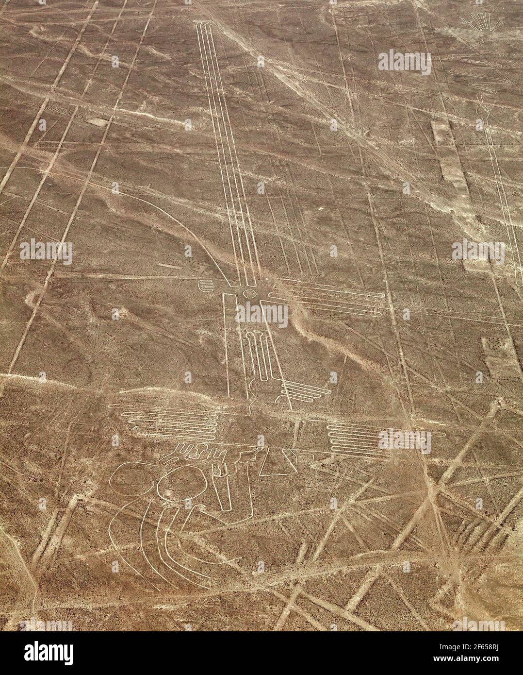 pelican-geoglyph-nazca-or-nasca-mysterious-lines-and-geoglyphs-aerial