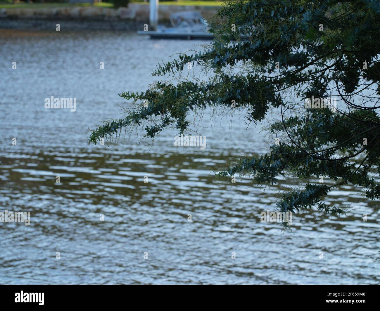 Dangar Dangar island australia hi-res stock photography and images - Alamy