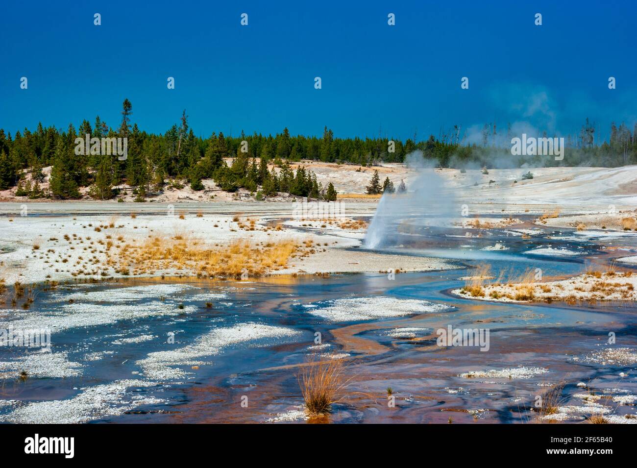 Geothermal pools at Porcelain Basin boardwalk trail inside Norris ...