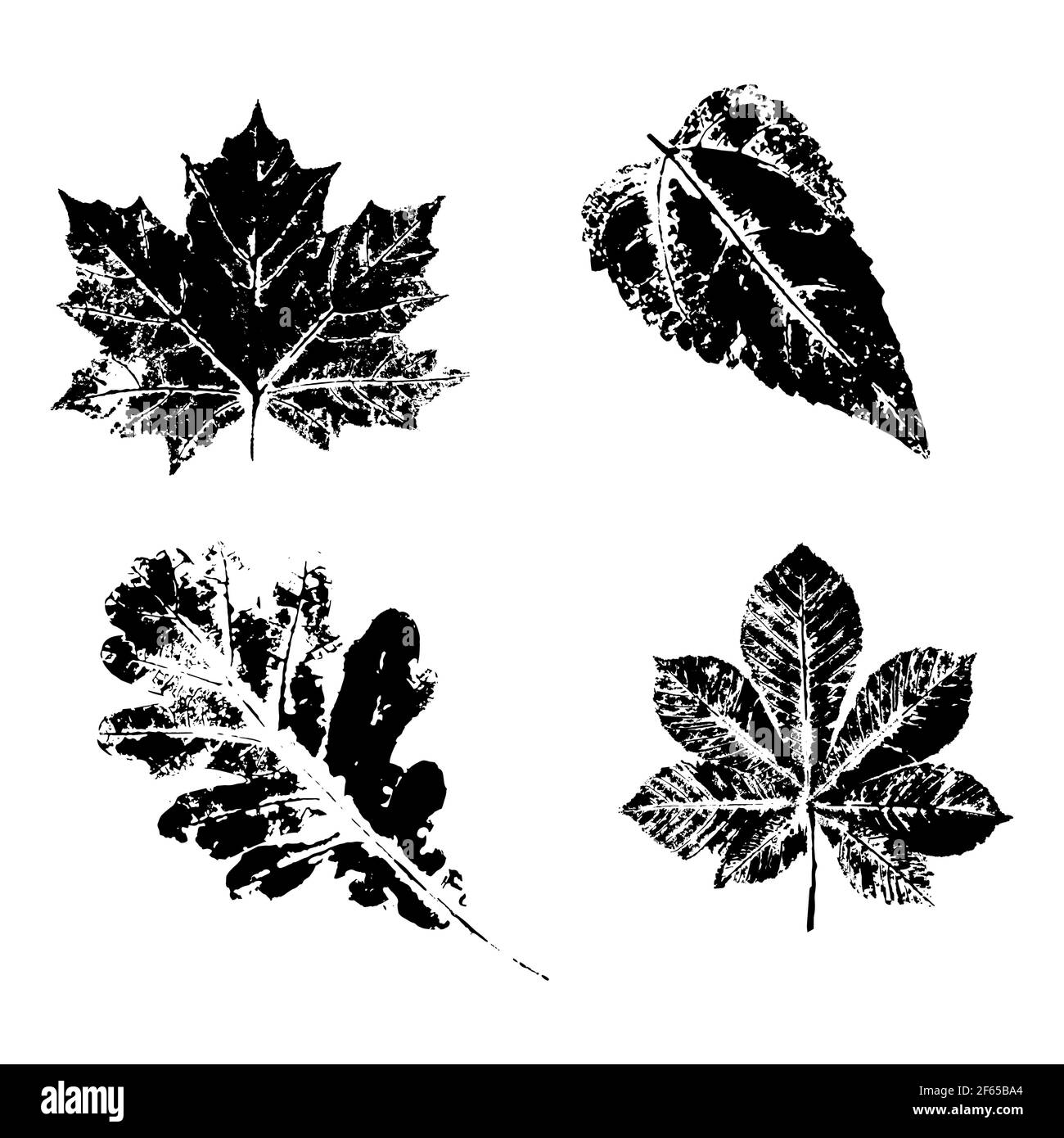 Ink print leaves. Black ink prints of leaves of trees and bushes Stock Vector