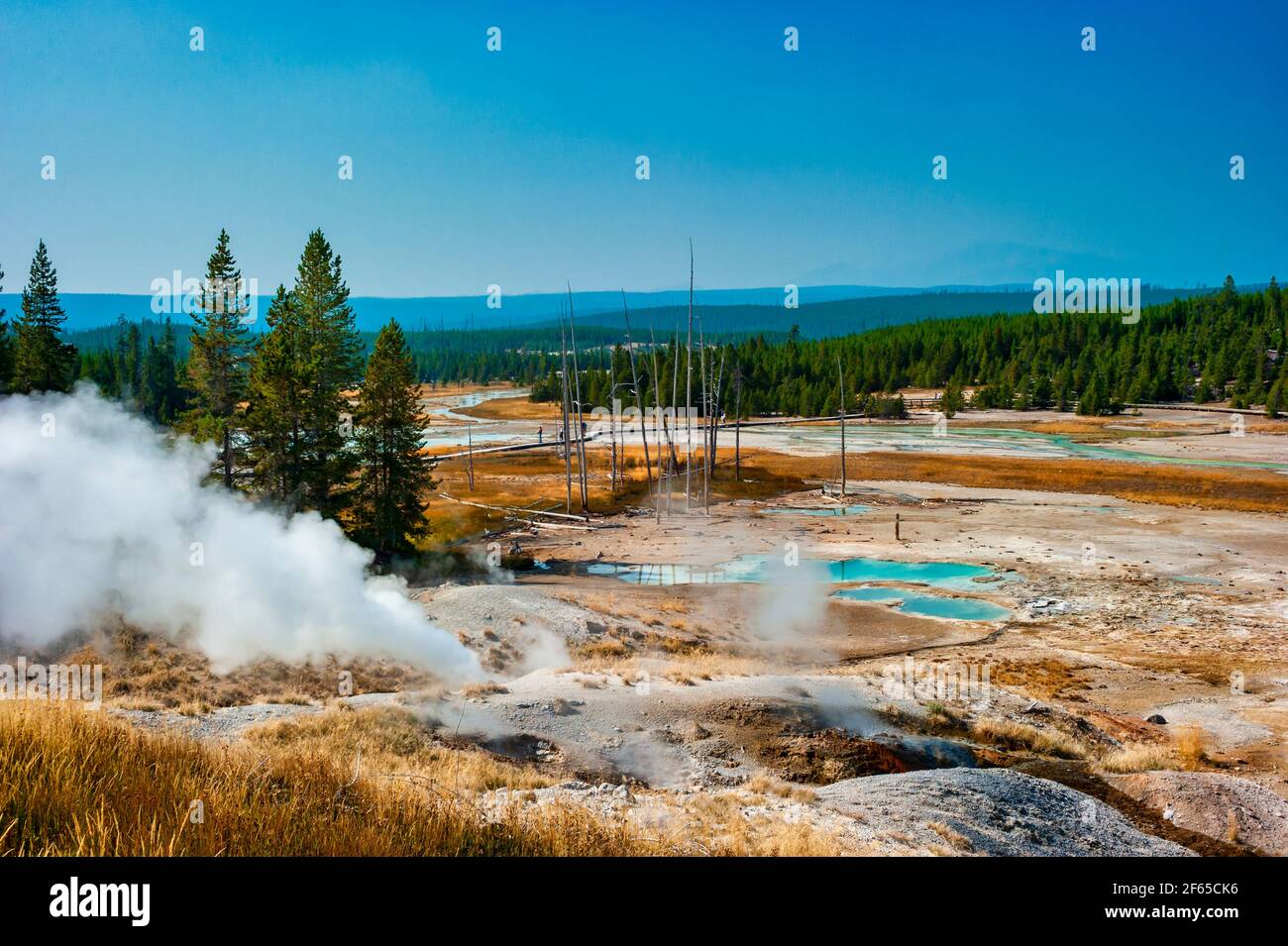 Geothermal pools at Porcelain Basin boardwalk trail inside Norris ...
