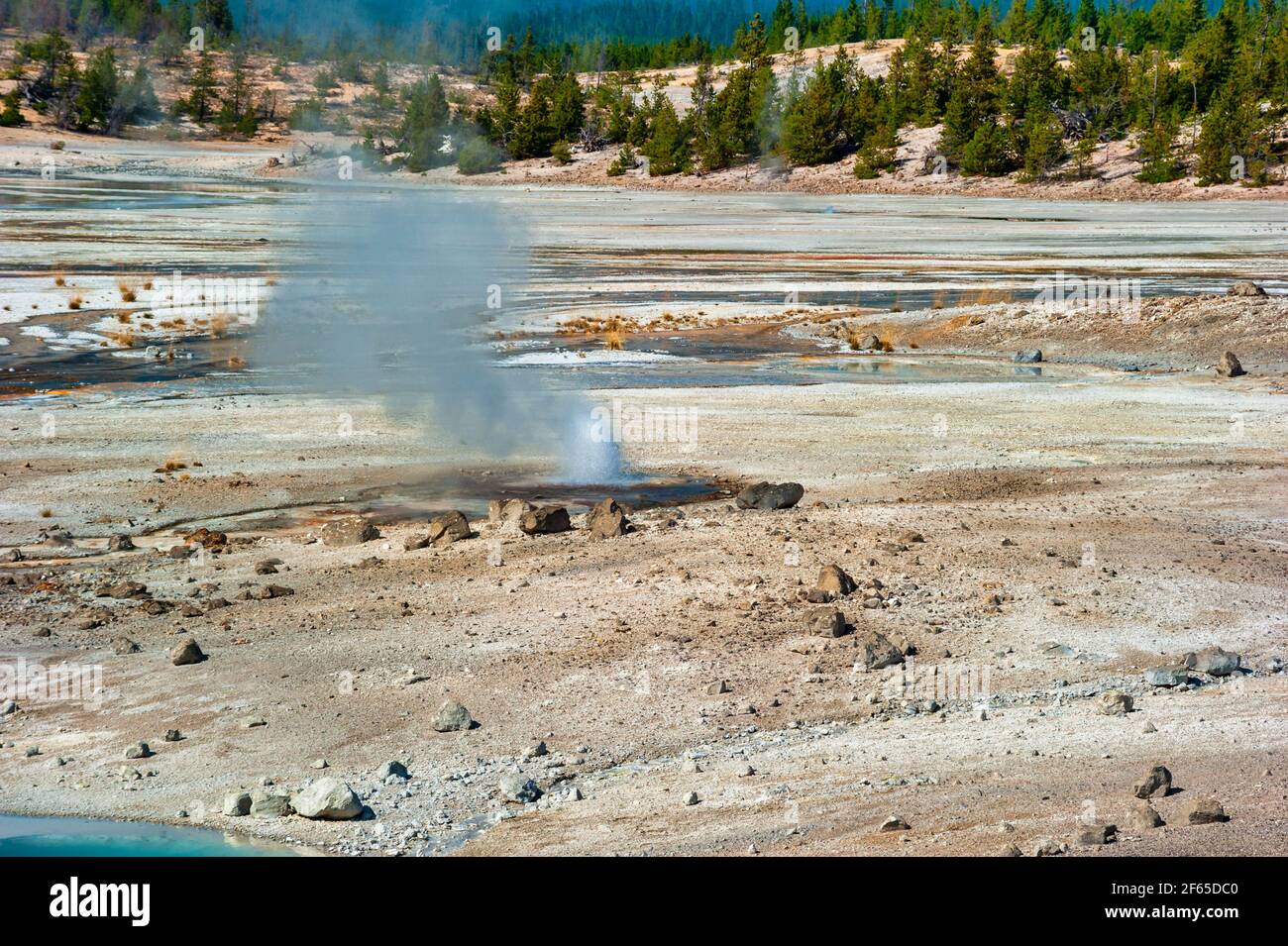 Geothermal pools at Porcelain Basin boardwalk trail inside Norris ...