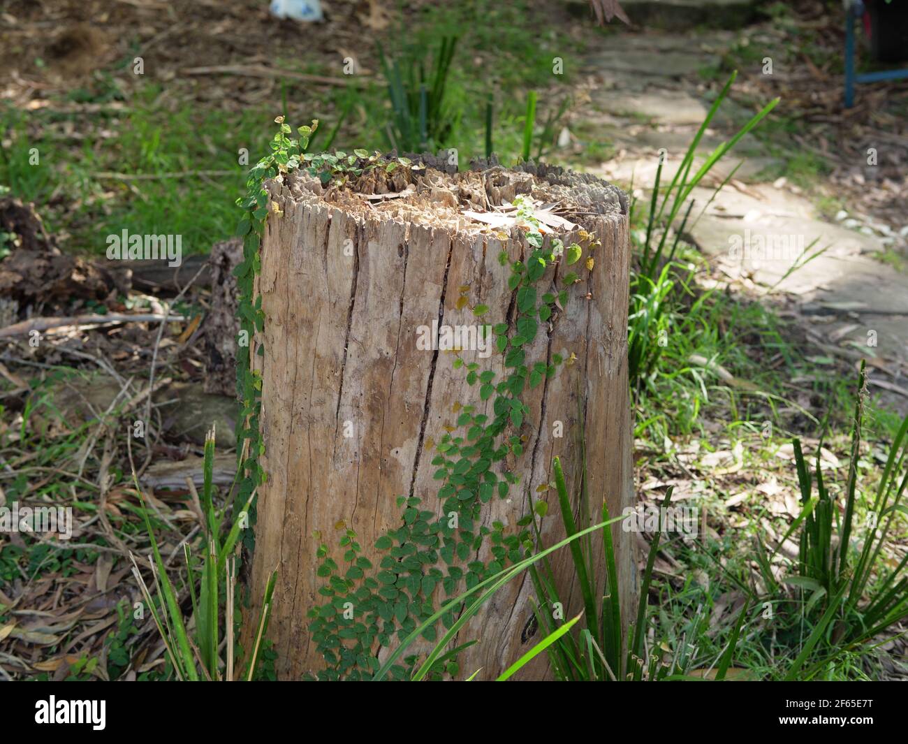 Dangar Dangar island australia hi-res stock photography and images - Alamy