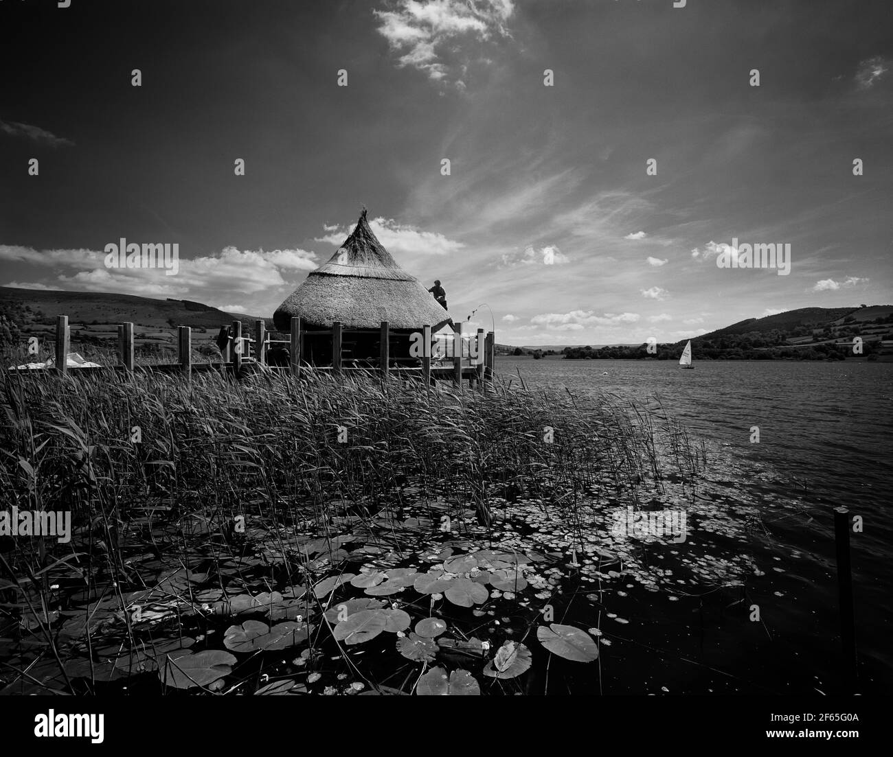 Reconstruction of an Iron Age hut at Llangorse Lake, Brecon beacons national park, Powys, Wales, UK Stock Photo