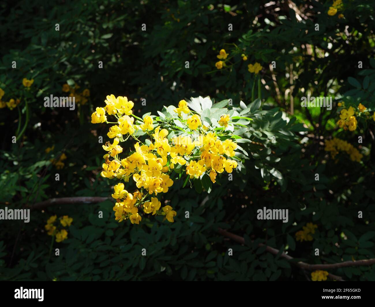 Dangar Dangar island australia hi-res stock photography and images - Alamy
