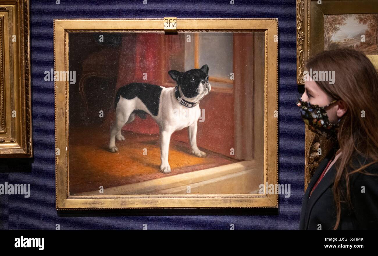 Bonhams, London, UK. 30 March 2021. Bonhams The Dunrobin Attic Sale includes more than 450 lots, including paintings, portraits, historic photographs, picture frames, marble sculptures, crested dinner services, and treasures from the historic castle’s kitchen and cellar on behalf of 25th Earl of Sutherland. Image: W. Cheesman (British, early 20th Century), A French bulldog, Millicent (The Duchess of Sutherland's first pet dog in the 1890s), estimate: £1,000-1,500. Credit: Malcolm Park/Alamy Live News. Stock Photo
