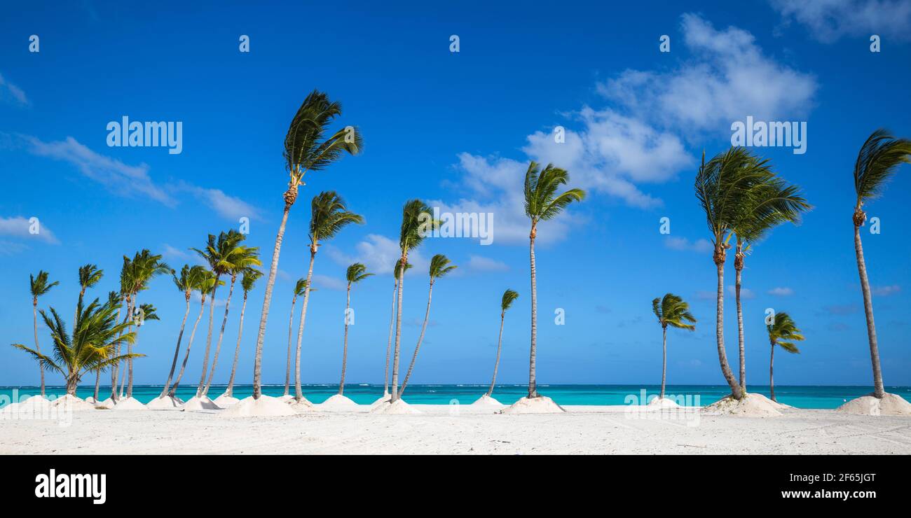 Dominican Republic, Punta Cana, Cap Cana, Juanillo Beach Stock Photo Alamy