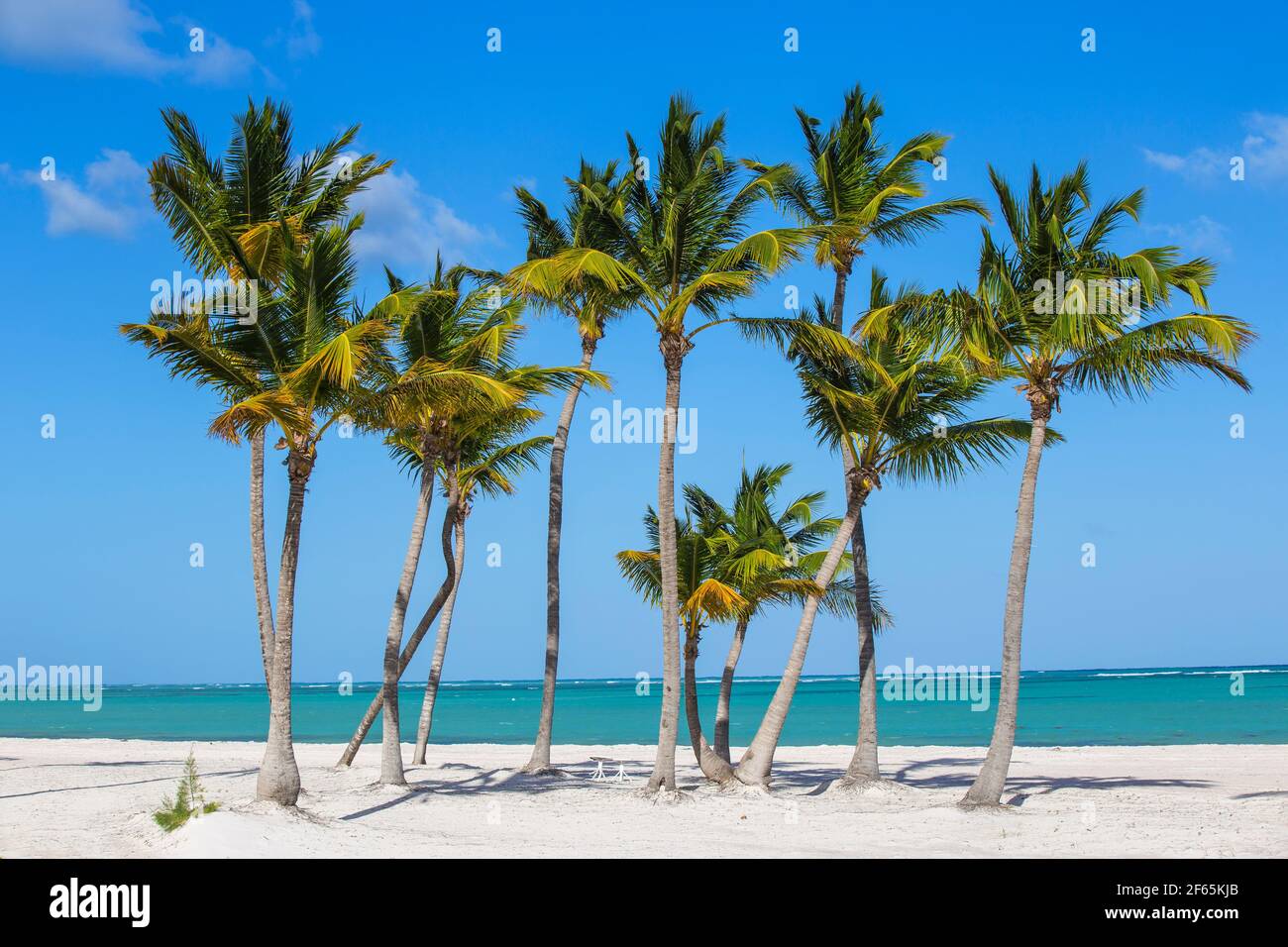 Dominican Republic, Punta Cana, Cap Cana, Juanillo Beach Stock Photo Alamy