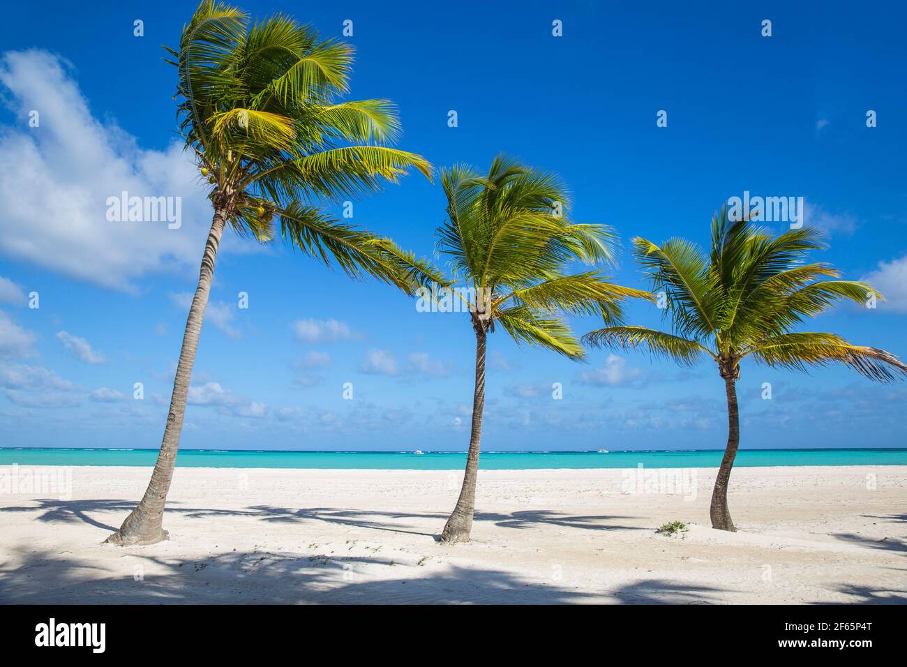 Dominican Republic, Punta Cana, Cap Cana, Juanillo Beach Stock Photo Alamy