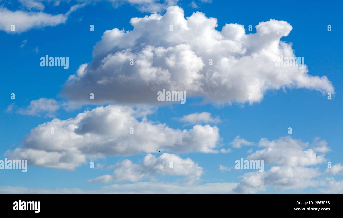 White fluffy cumulus clouds floating in blue sky above Shingle Street ...