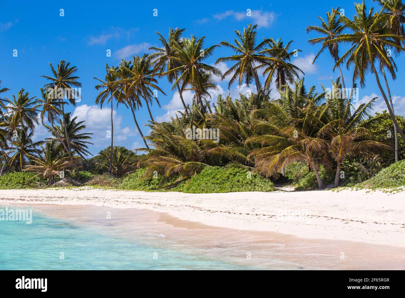 Dominican Republic, Punta Cana, Playa Blanca Stock Photo