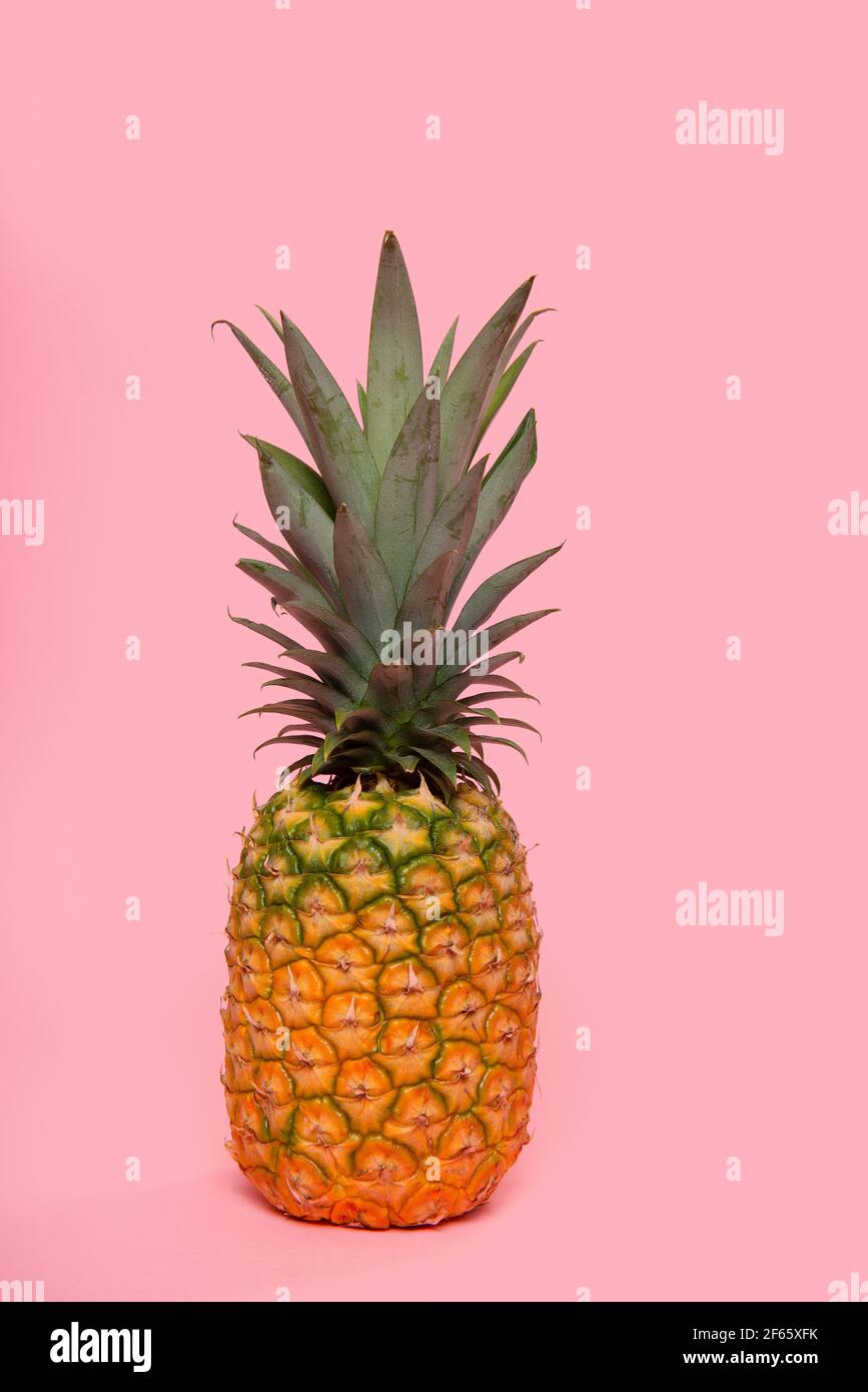 Pineapple on a pink background Stock Photo