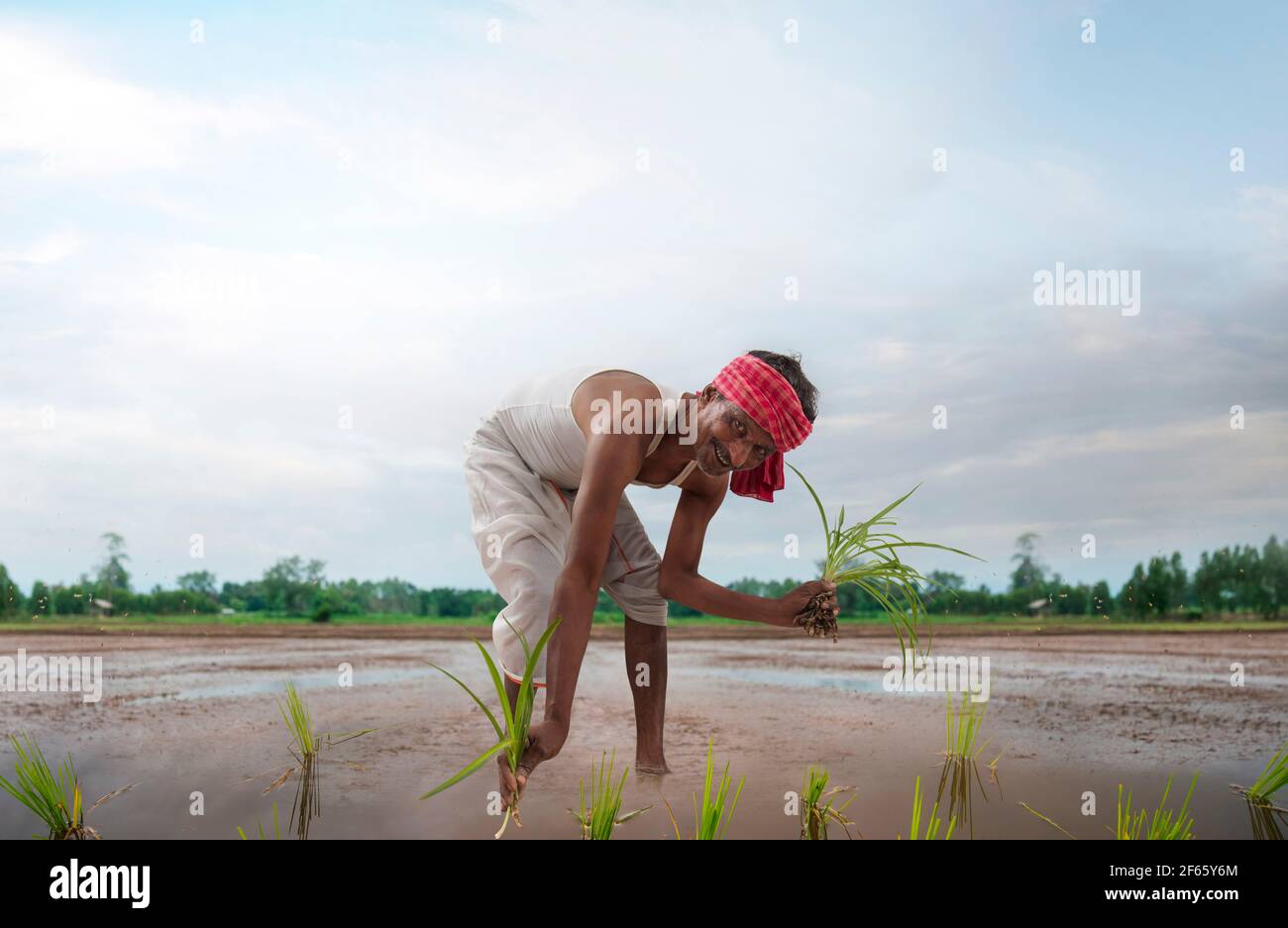 Indian farmer white turban in hi-res stock photography and images - Alamy