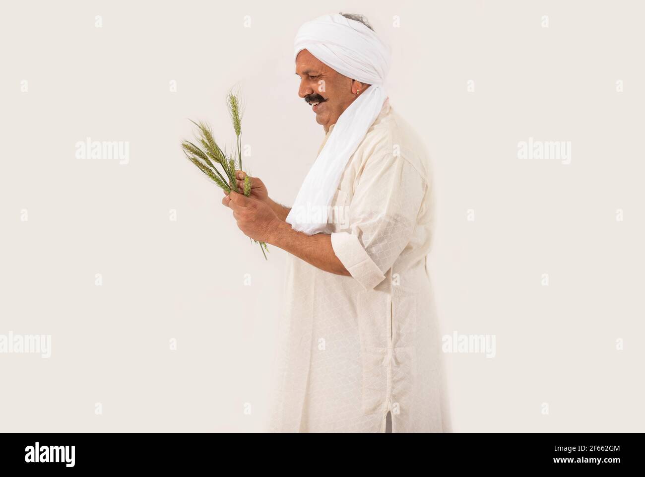 A HAPPY FARMER STANDING AND HOLDING WHEAT CROP IN HAND Stock Photo