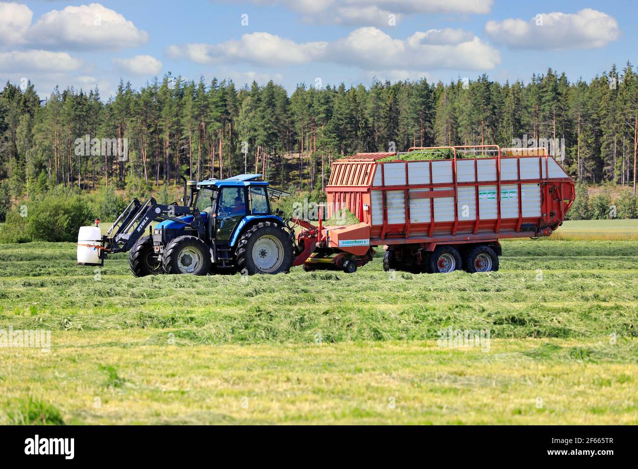 Collecting cut hay for silage with Pöttinger Europrofi 3 silage trailer pulled by a New Holland tractor on a day of summer. Salo, Finland. July 26, 20 Stock Photo