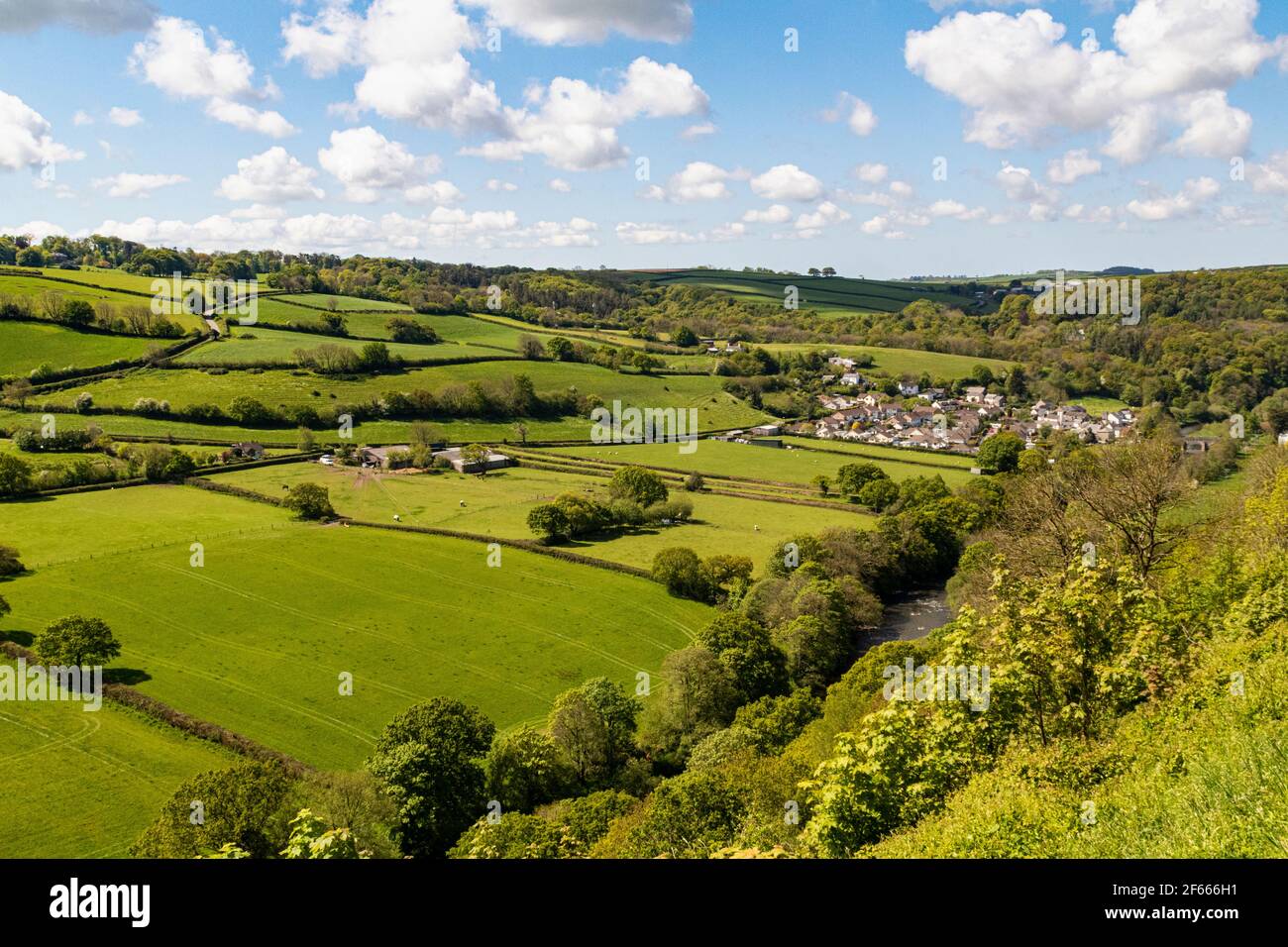 Summer View Looking Across Castle Hill, the Torridge Valley and Fields