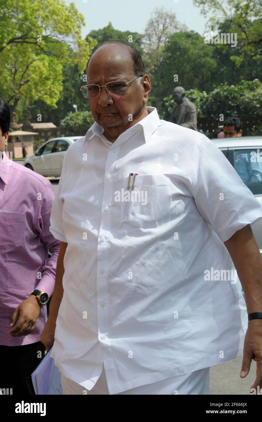 Sharad Pawar, is the leader of Nationalist Congress Party (NCP) and represents Baramati, Maharashtra, with over 50 years of public service. He holds a Stock Photo