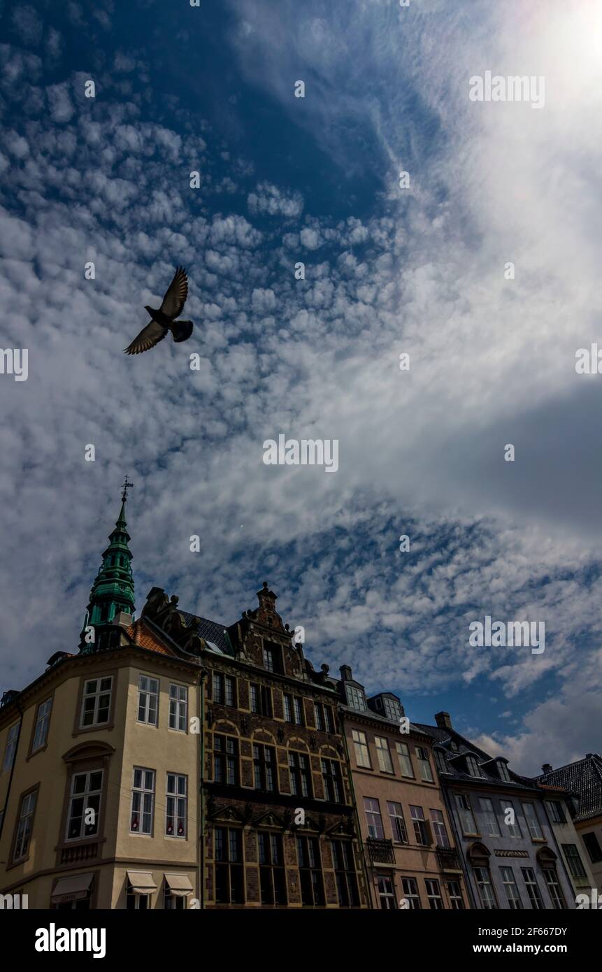 A pigeon in flight against a mackerel sky and the tower of the Kunsthallen Nikolaj / Nikolaj Contemporary Art Centre, Copenhagen, Denmark. Stock Photo